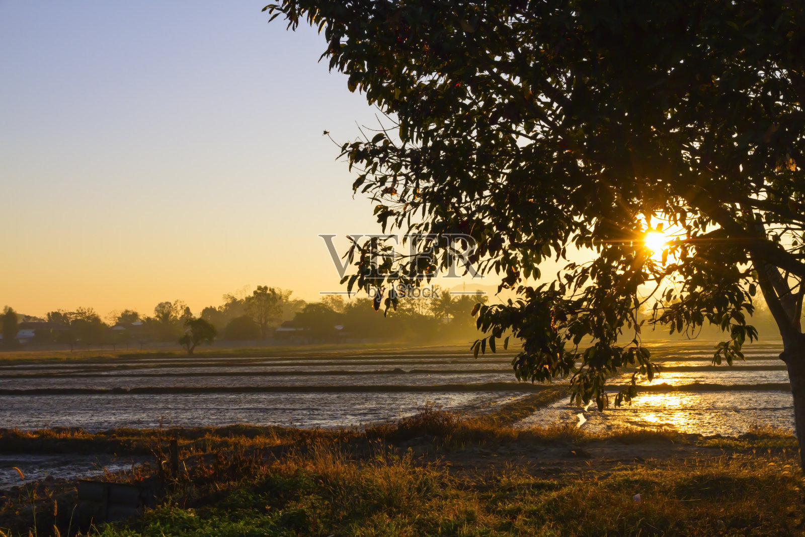 清晨的日出和雾照片摄影图片