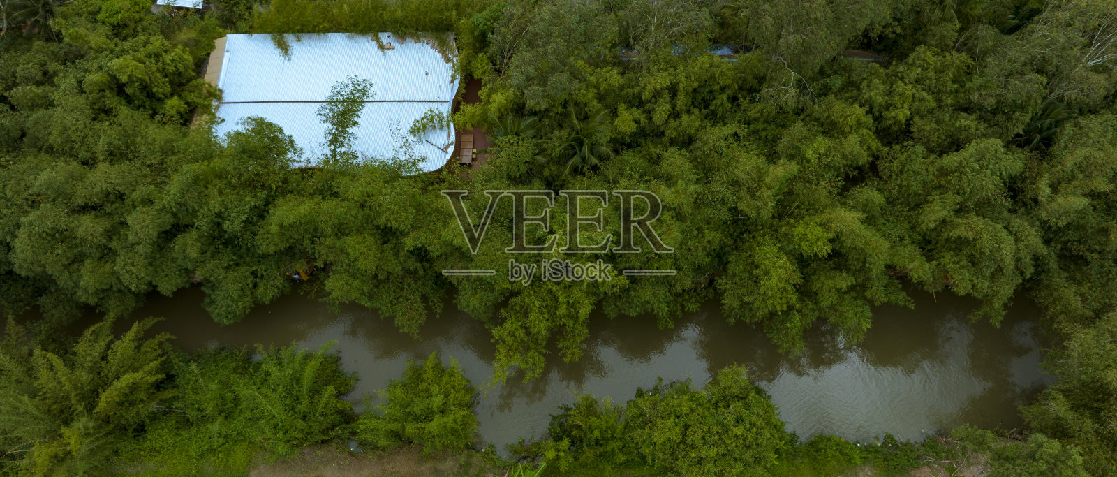 湄公河三角洲的乡村运河,两岸都有竹林,越南后江省照片摄影图片