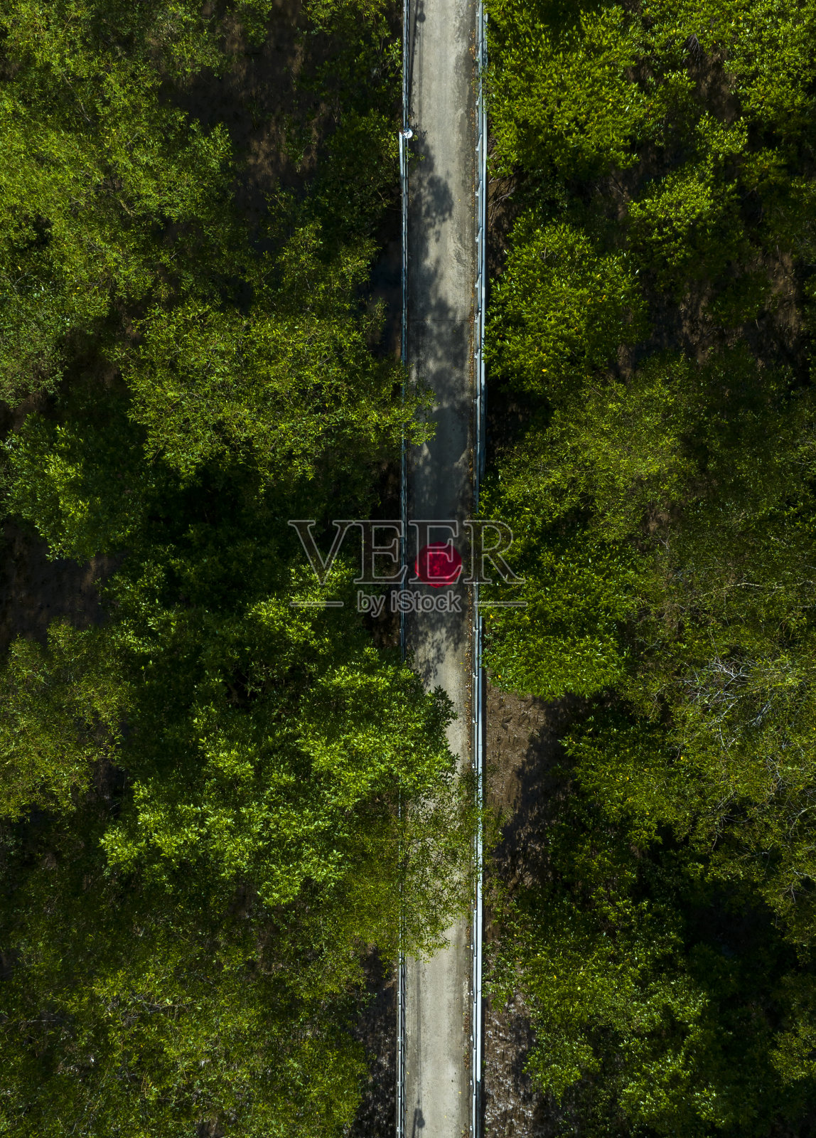 摘要航拍的红色雨伞在红树林中间,Soc Trang省照片摄影图片