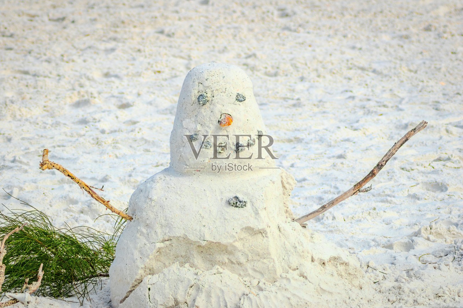 佛罗里达观鸟和远足照片摄影图片