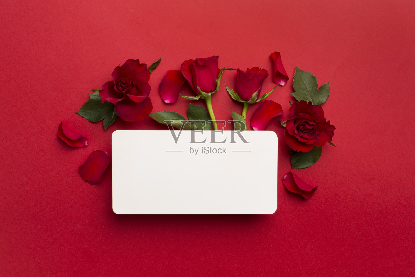 贺卡模型与红玫瑰的颜色背景,顶视图照片摄影图片