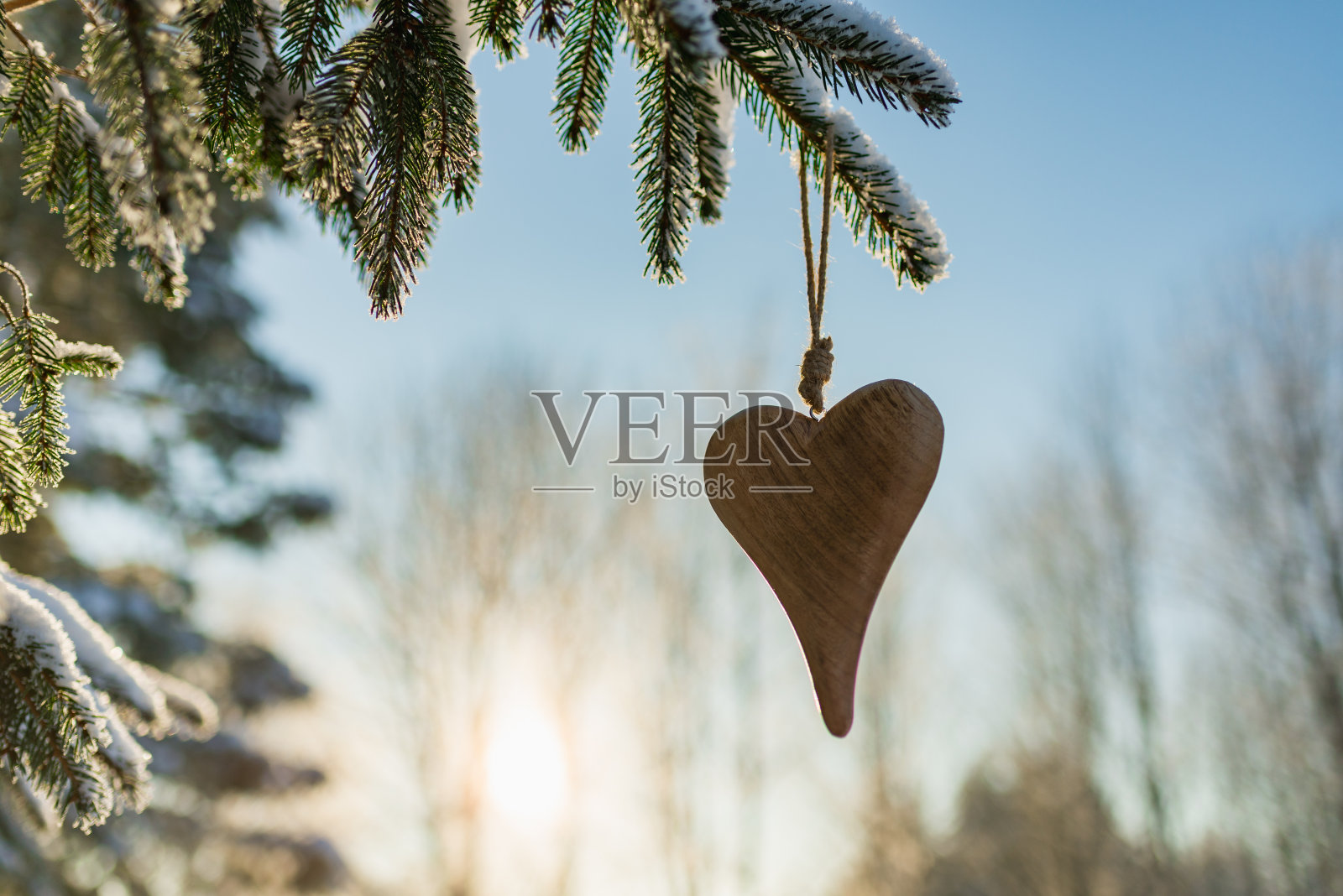 在一个冬天的公园里,夕阳西下的傍晚,一颗木心的剪影挂在一棵云杉的树枝上。照片摄影图片