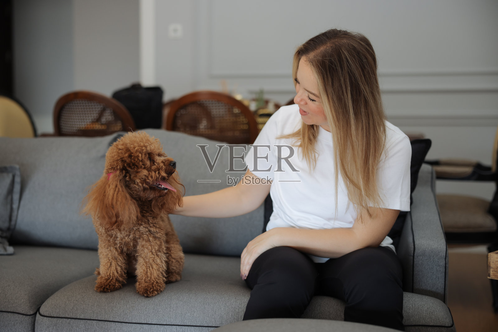 中年妇女和她的杏水坑狗早晨在沙发上相遇照片摄影图片