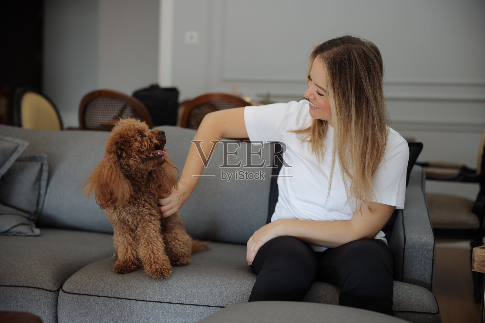 中年妇女和她的杏水坑狗早晨在沙发上相遇照片摄影图片