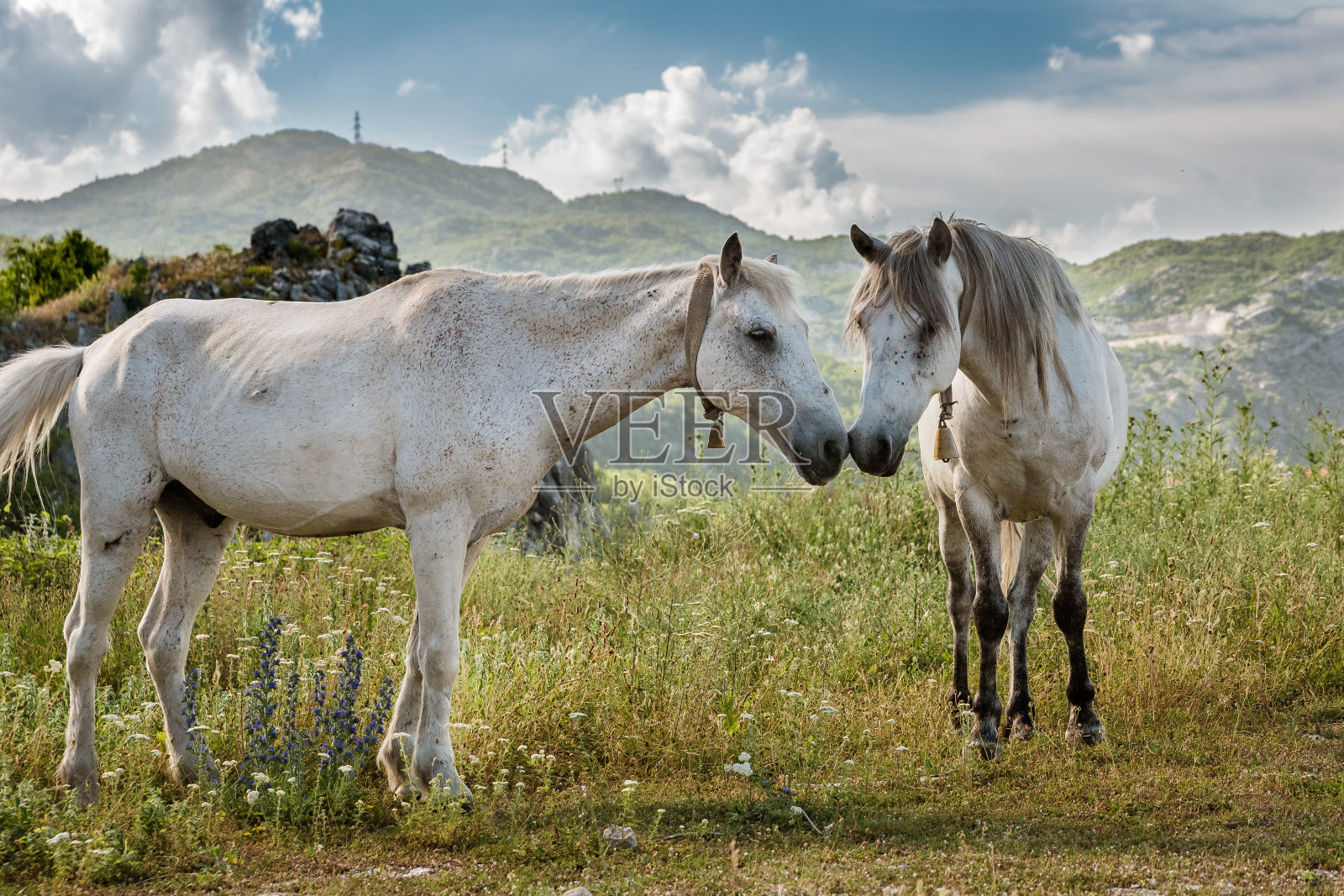 黑山的旅游景点照片摄影图片