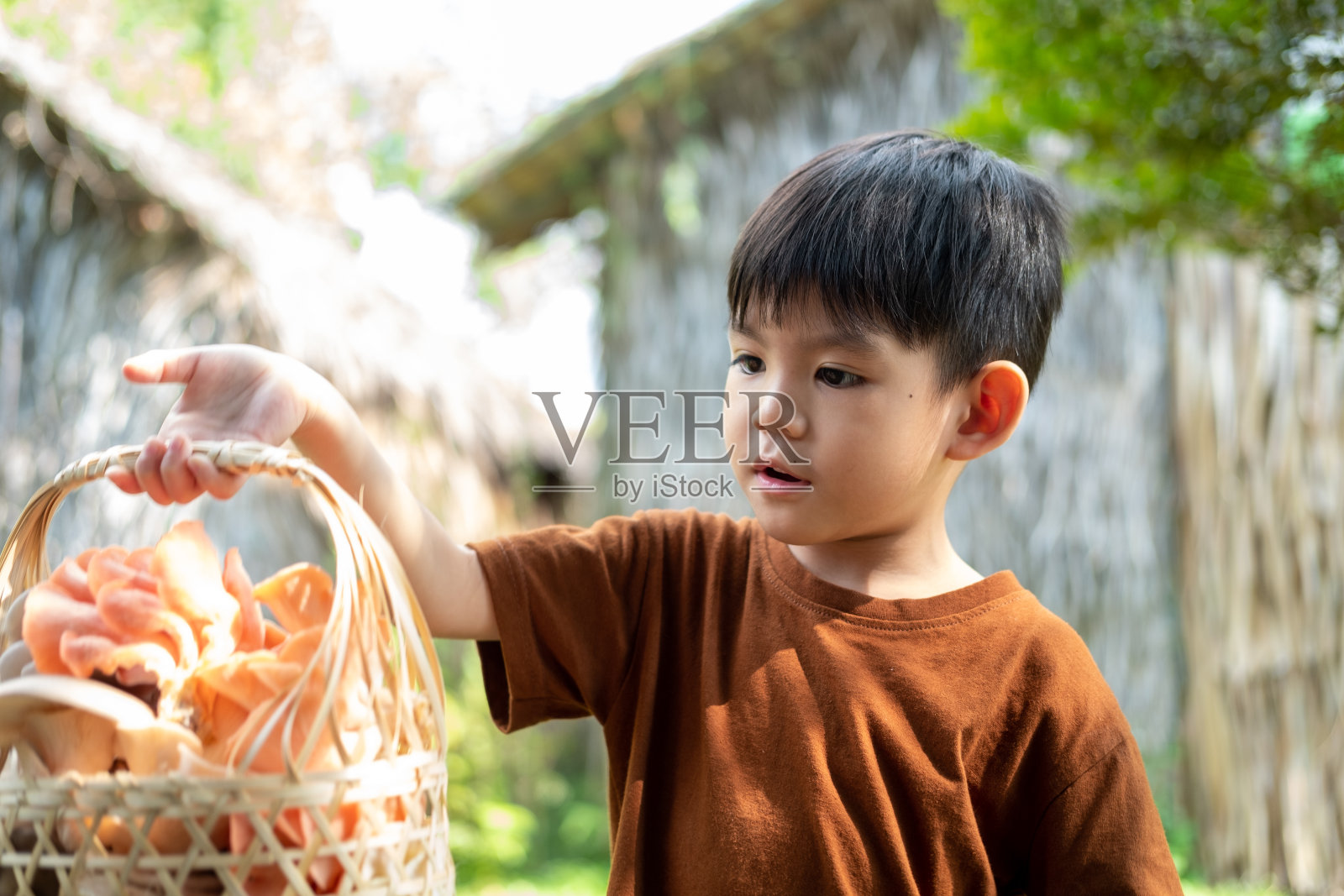 拿着一篮蘑菇的亚洲小男孩照片摄影图片