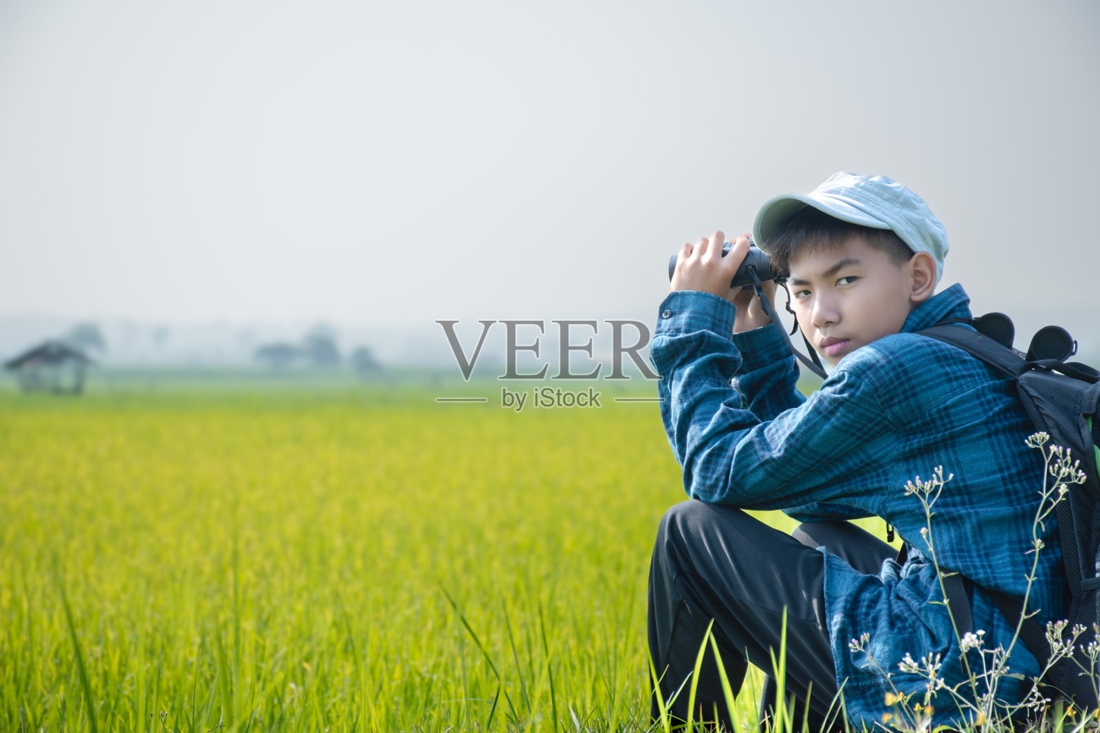 性质的研究照片摄影图片