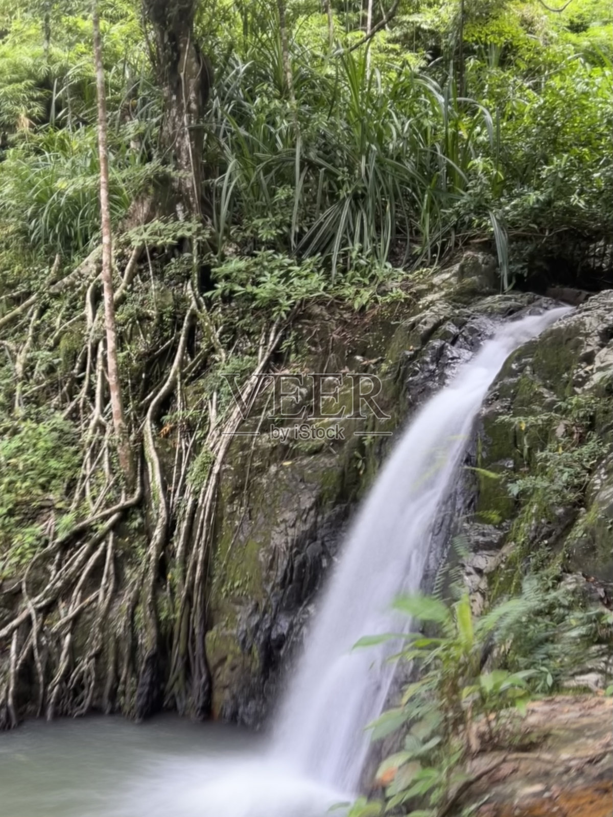 菲律宾巴拉望岛令人惊叹的瀑布照片摄影图片