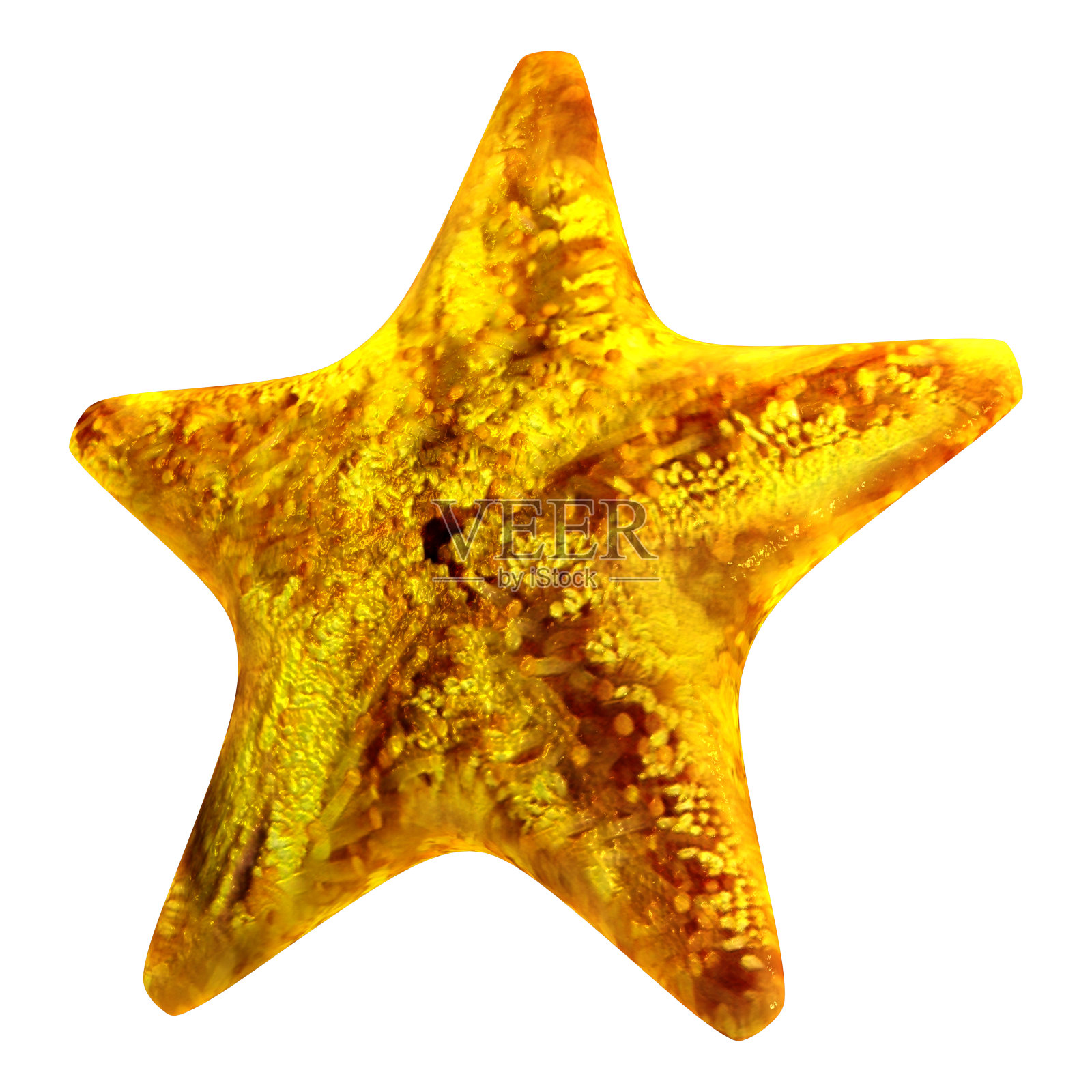 3D渲染海星在白色照片摄影图片