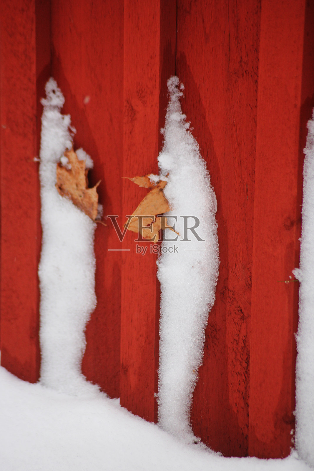 两片叶子陷在雪里,挂在红色的木墙上照片摄影图片