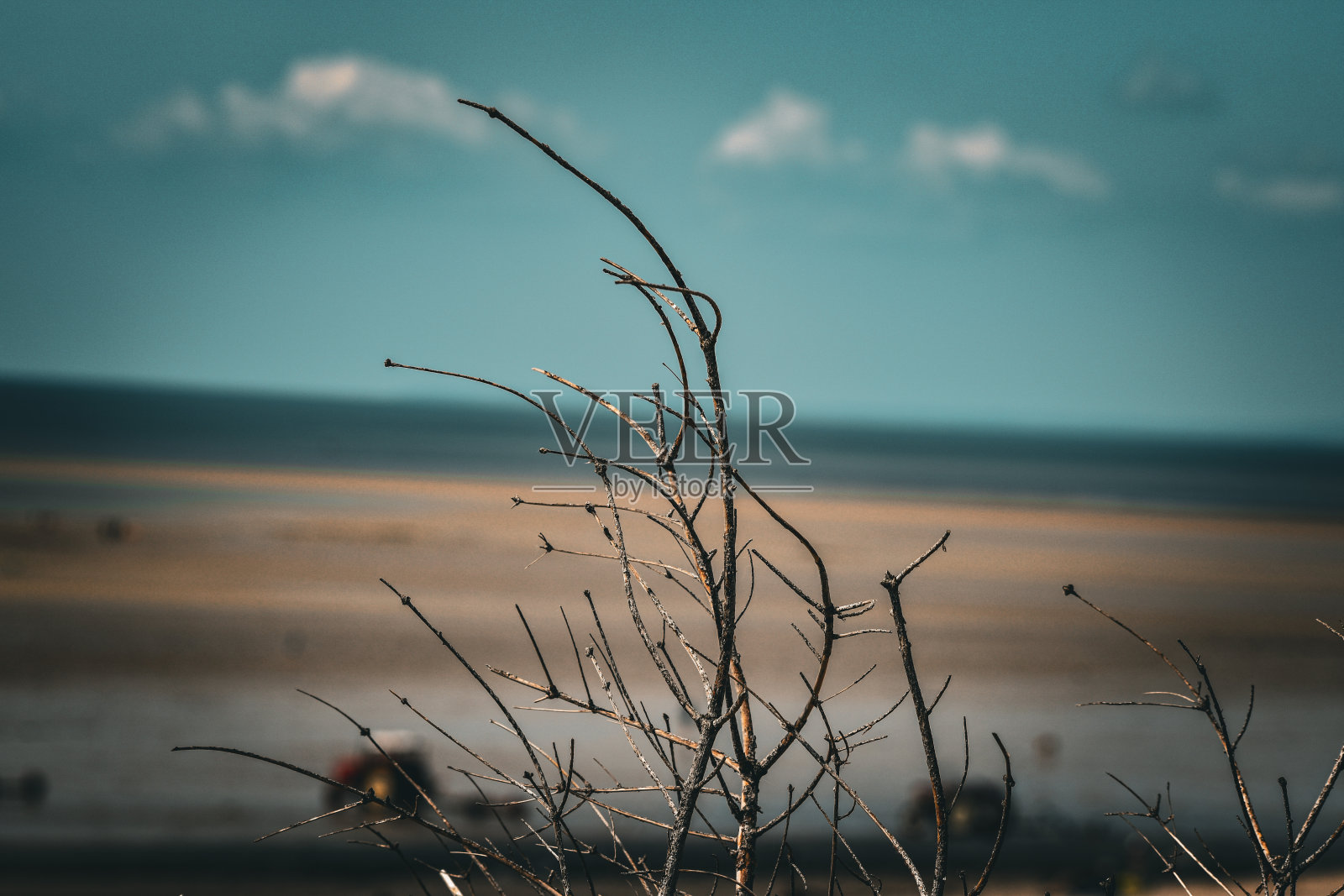 海照片摄影图片