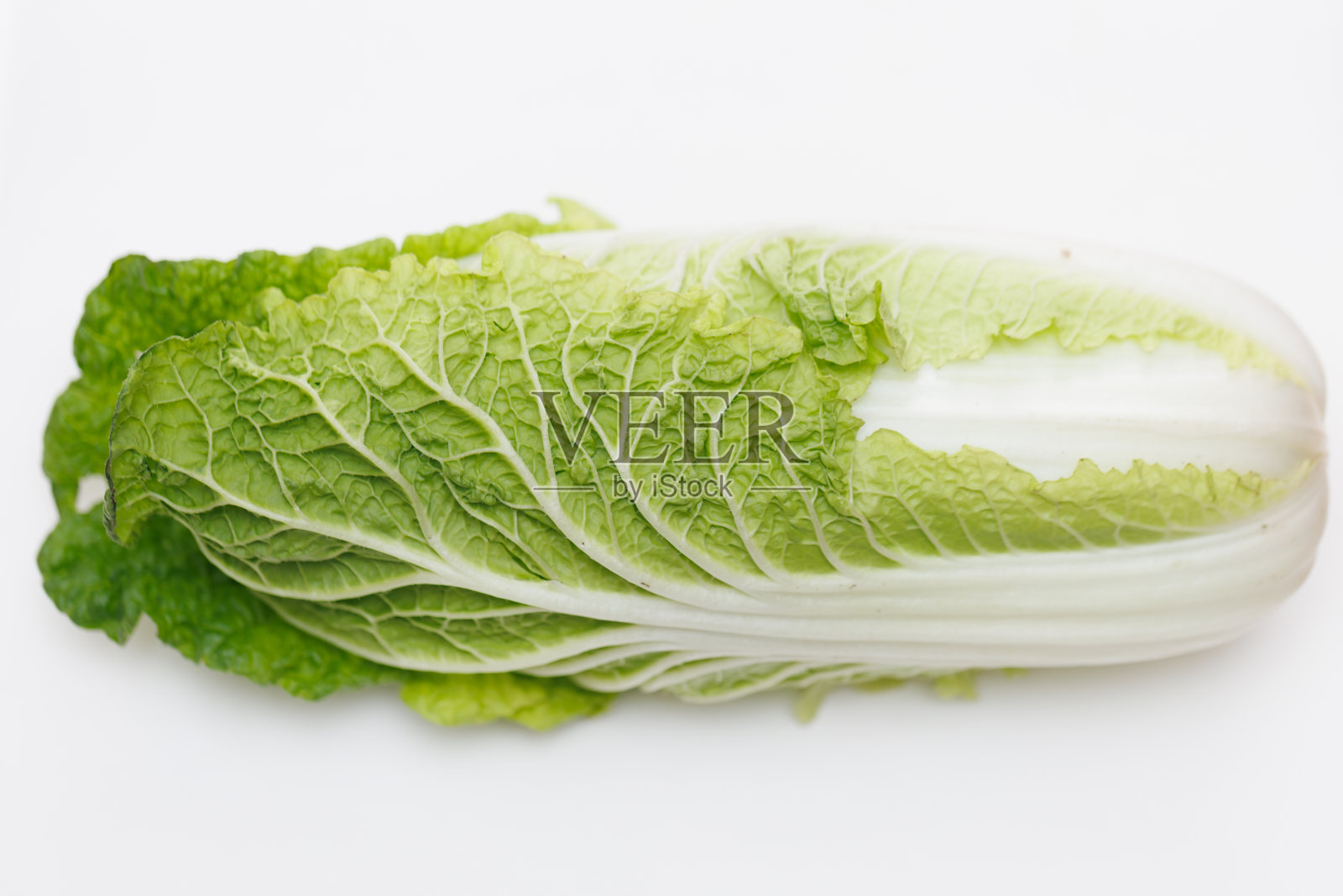 小白菜照片摄影图片