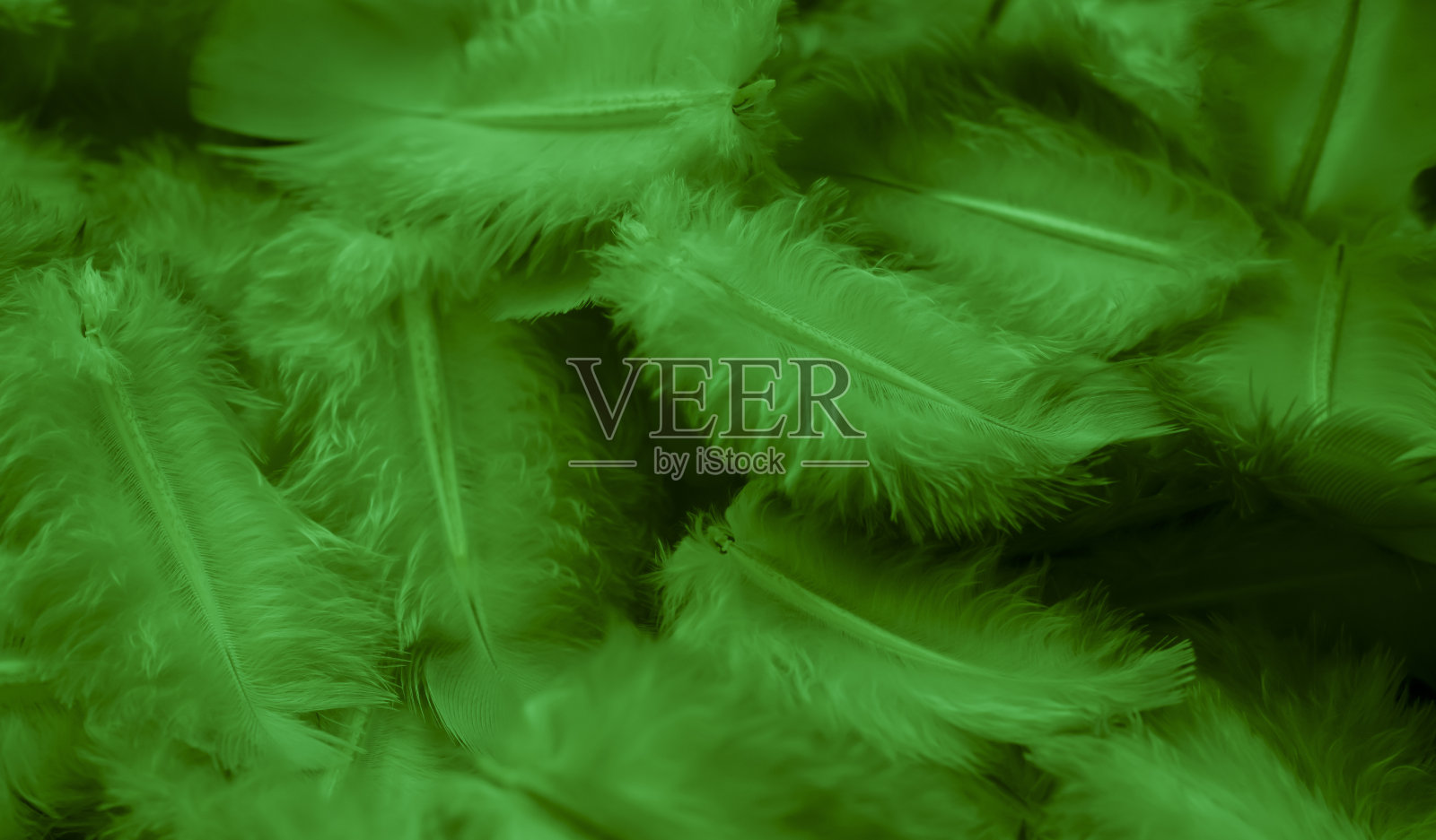 绿羽鸽子微距照片。纹理或背景照片摄影图片