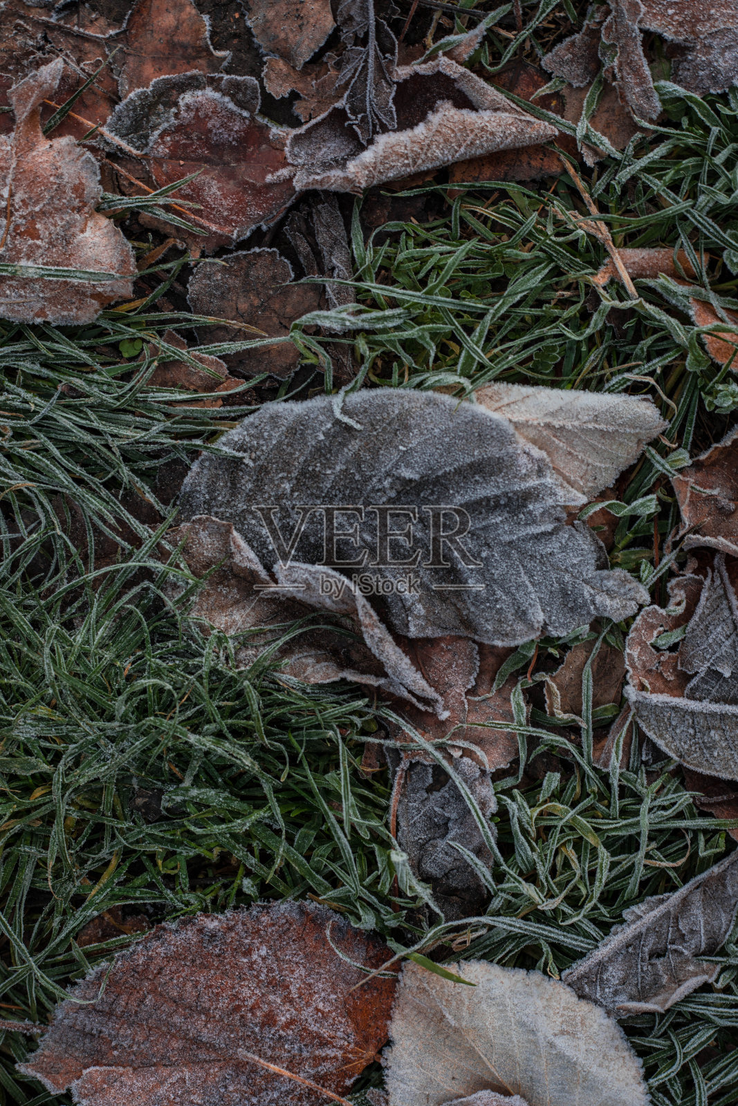 冰冻自然,冬季季节背景照片摄影图片