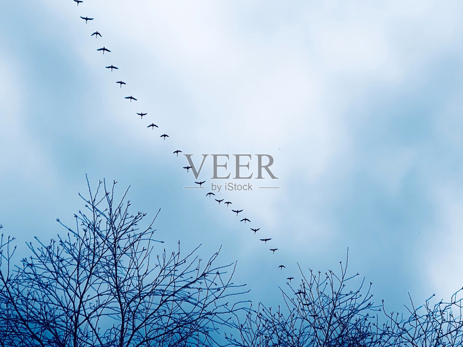 飞行模式照片摄影图片