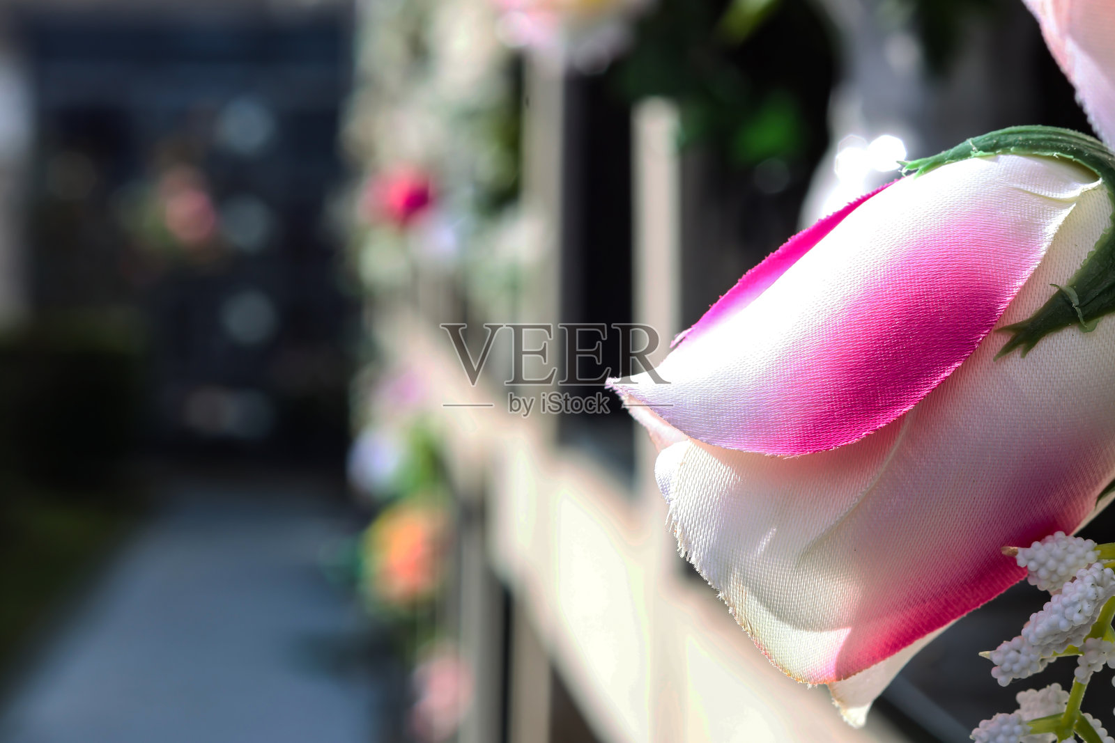 缅怀那些离去的人。墓地里坟上的鲜花。照片摄影图片