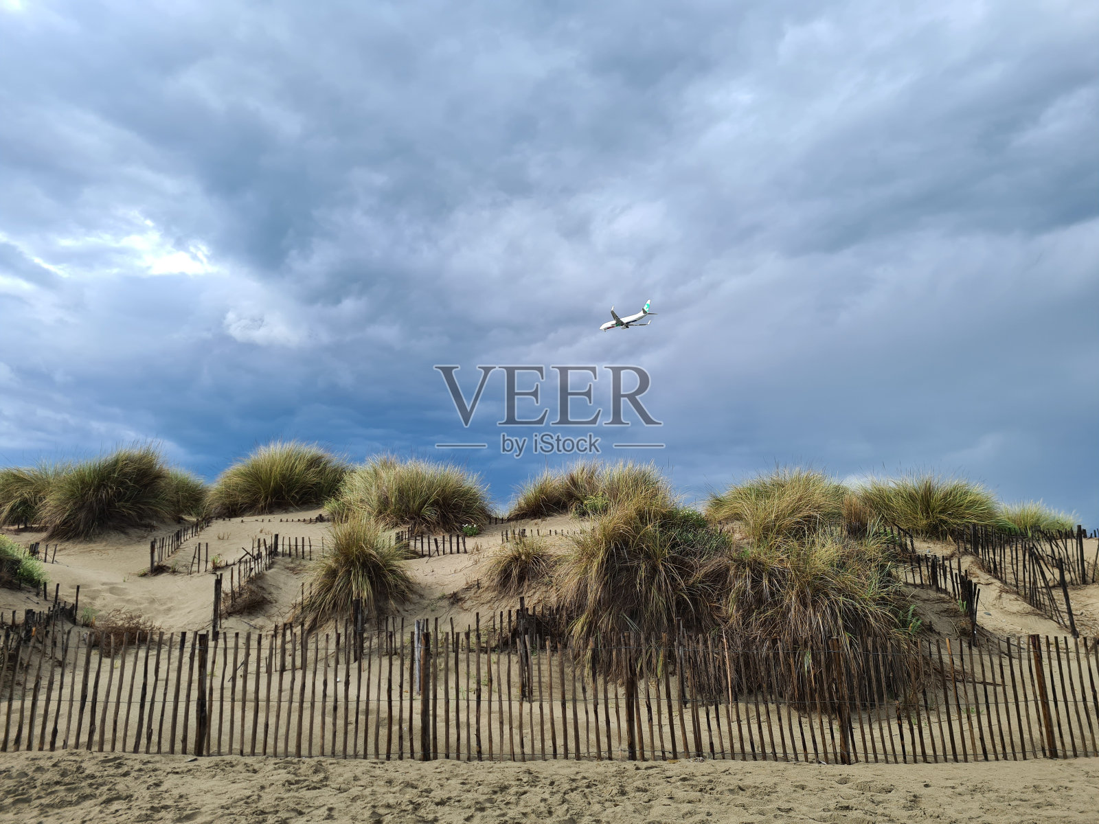 沙丘血统照片摄影图片