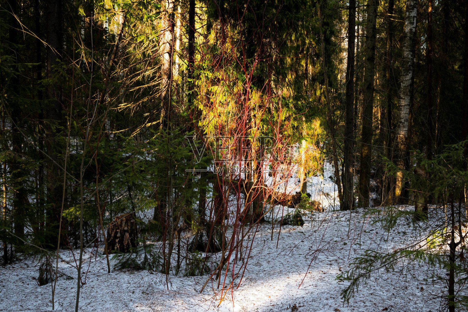 冬天的风景照片摄影图片