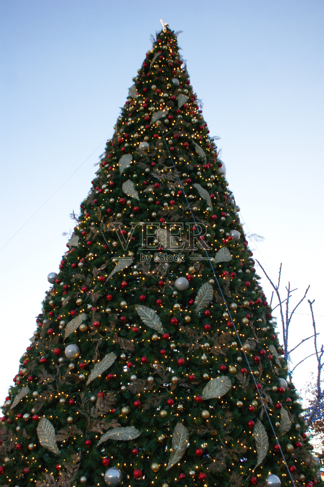 圣诞树照片摄影图片