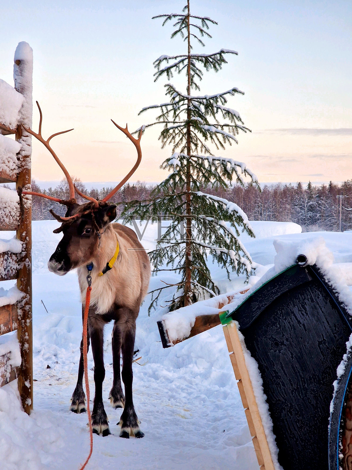 北欧的场景照片摄影图片