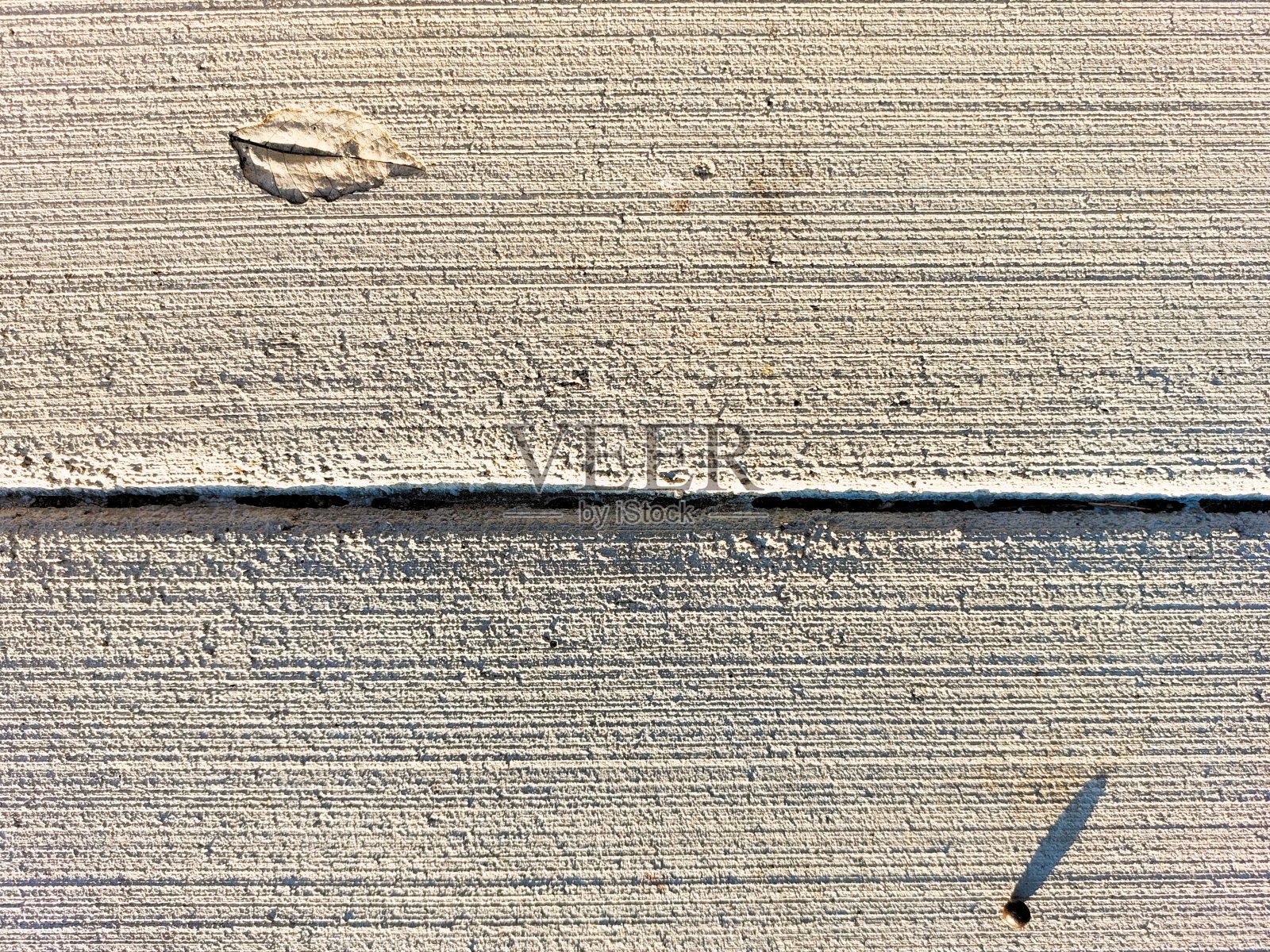 叶片印象03照片摄影图片