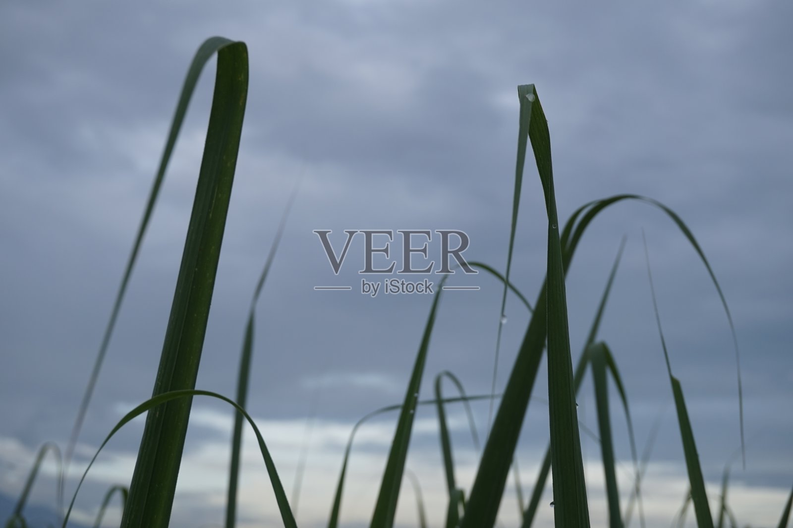 云照片摄影图片