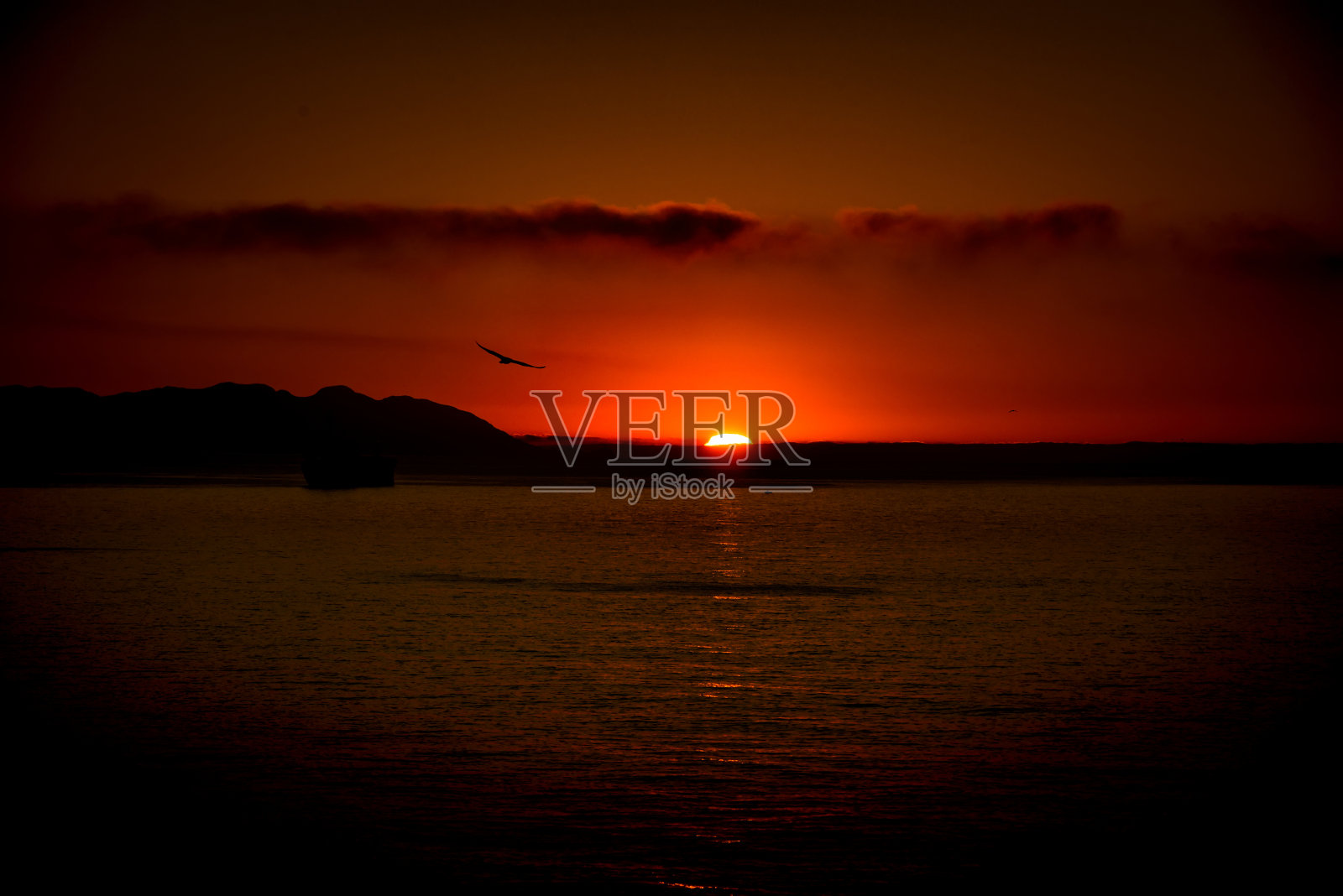 日出红天空,海面上海鸥飞舞照片摄影图片