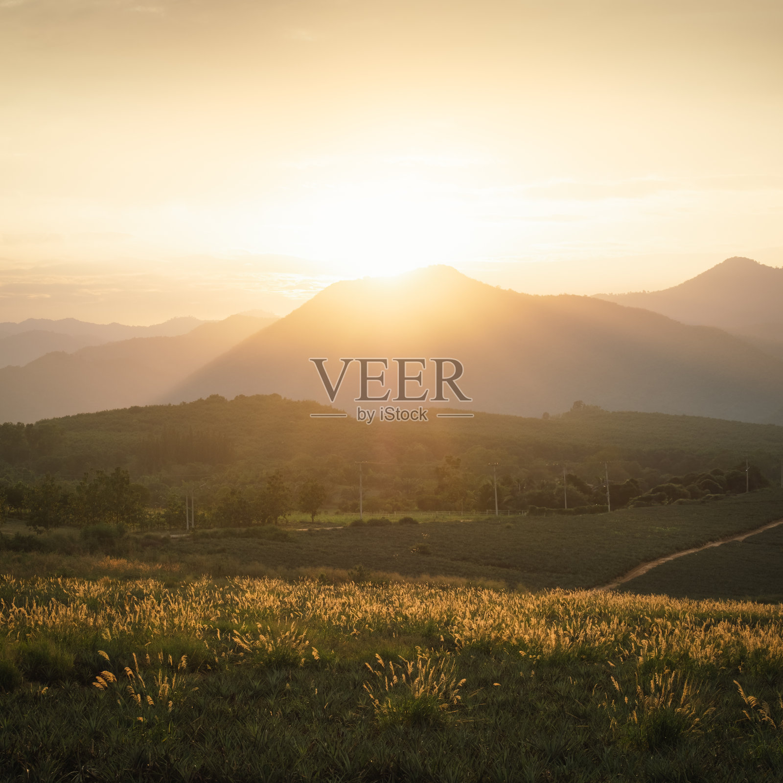 在一个充满自然的夏夜,日落在山上照片摄影图片