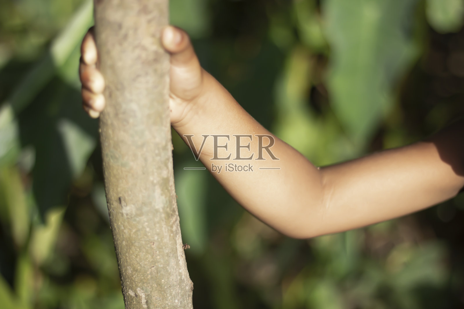 一个小孩手里拿着一根粗树枝,模糊了背景照片摄影图片