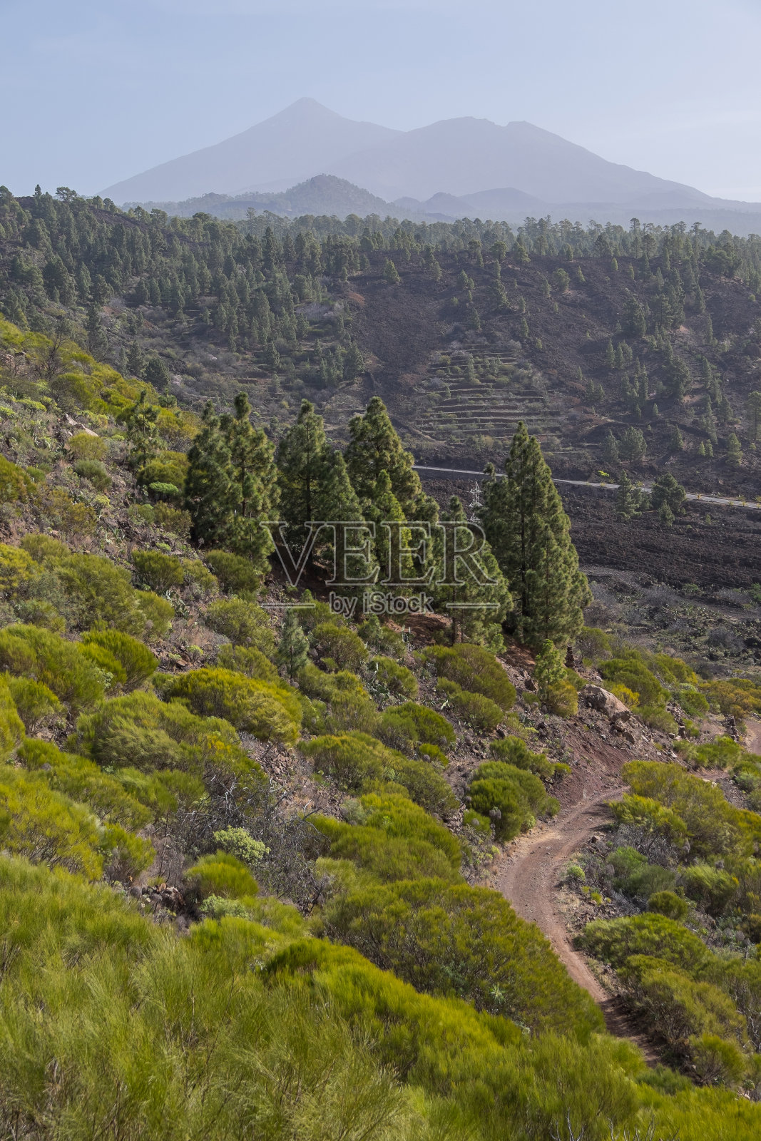 加那利群岛特内里费岛阿加约的景观照片摄影图片