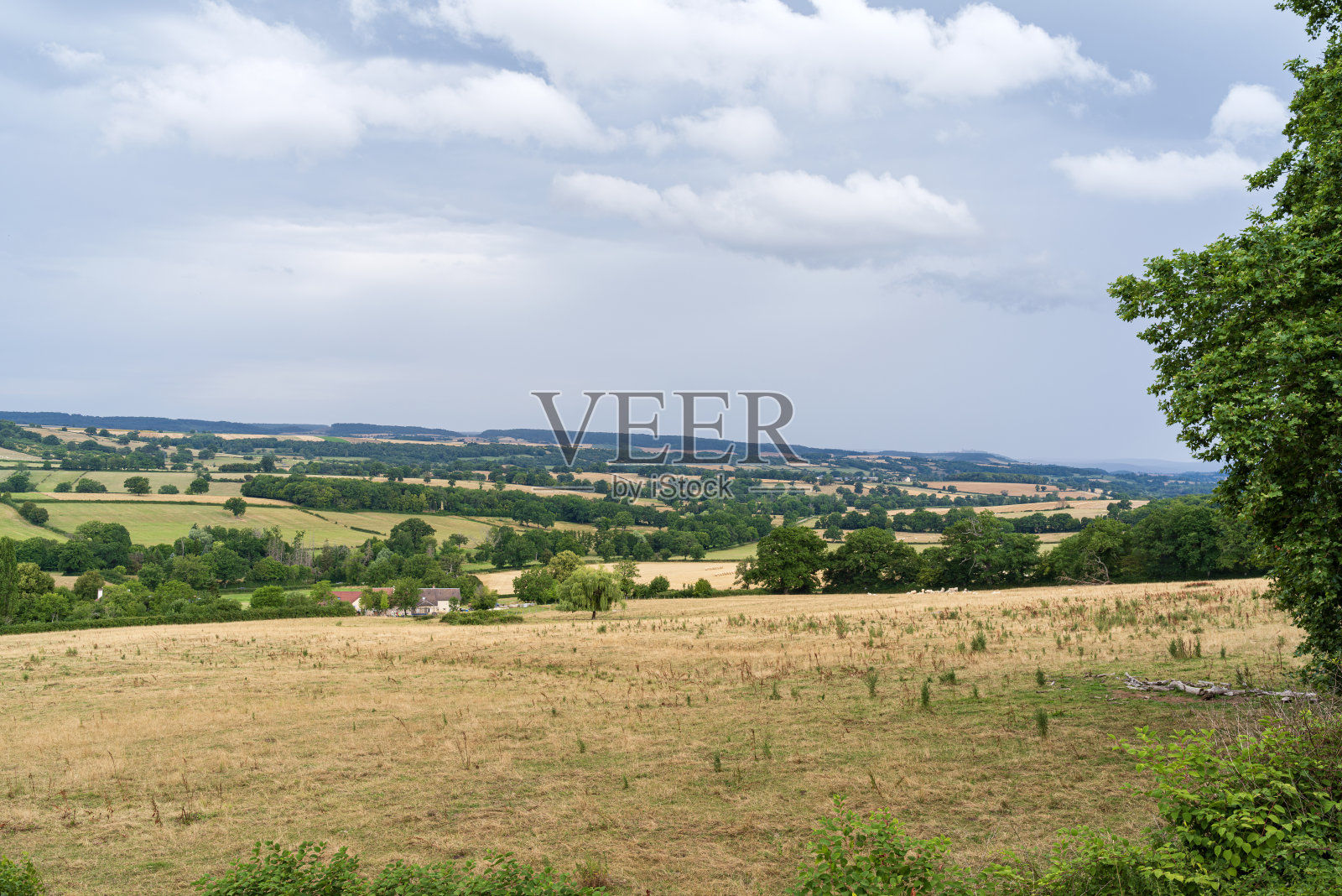 bazoches乡村的牧场和田野照片摄影图片