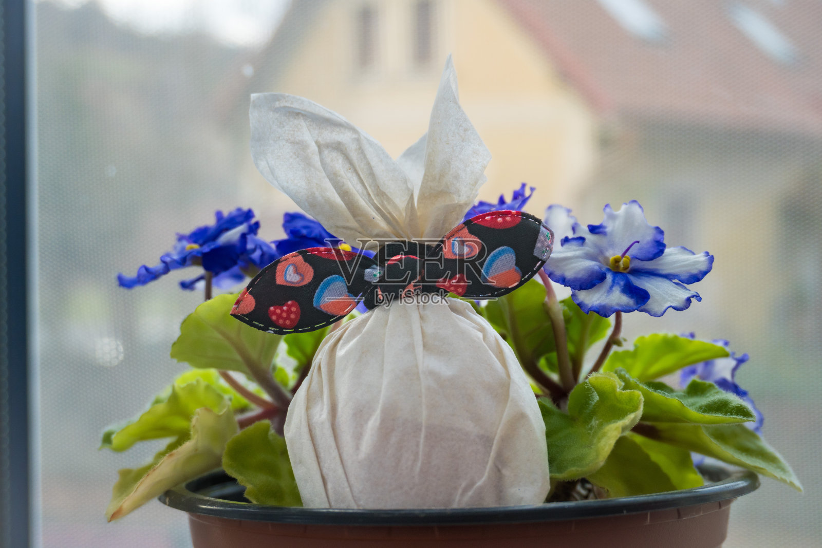 复活节彩蛋躺在绿色的花朵上,背景是春天的阳光照片摄影图片