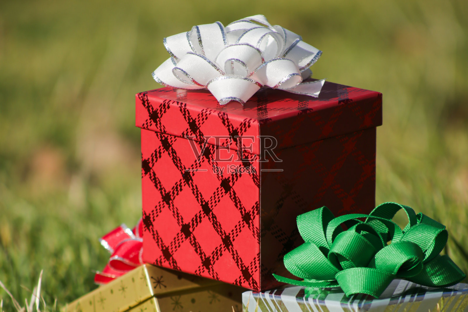 三件圣诞礼物系着五颜六色的蝴蝶结,放在绿草地上,包装纸在早晨的阳光下闪闪发光照片摄影图片