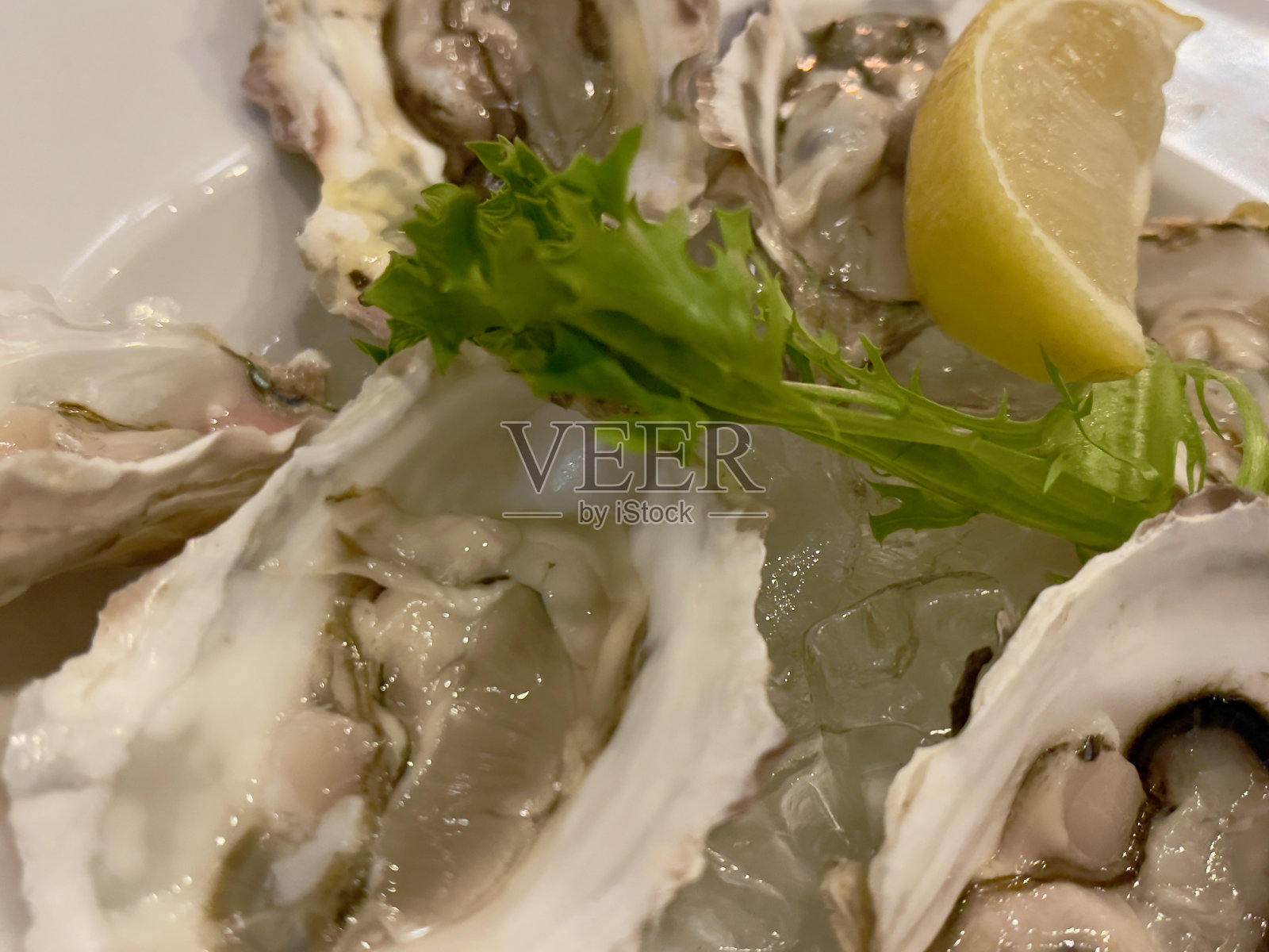 半壳生蚝照片摄影图片