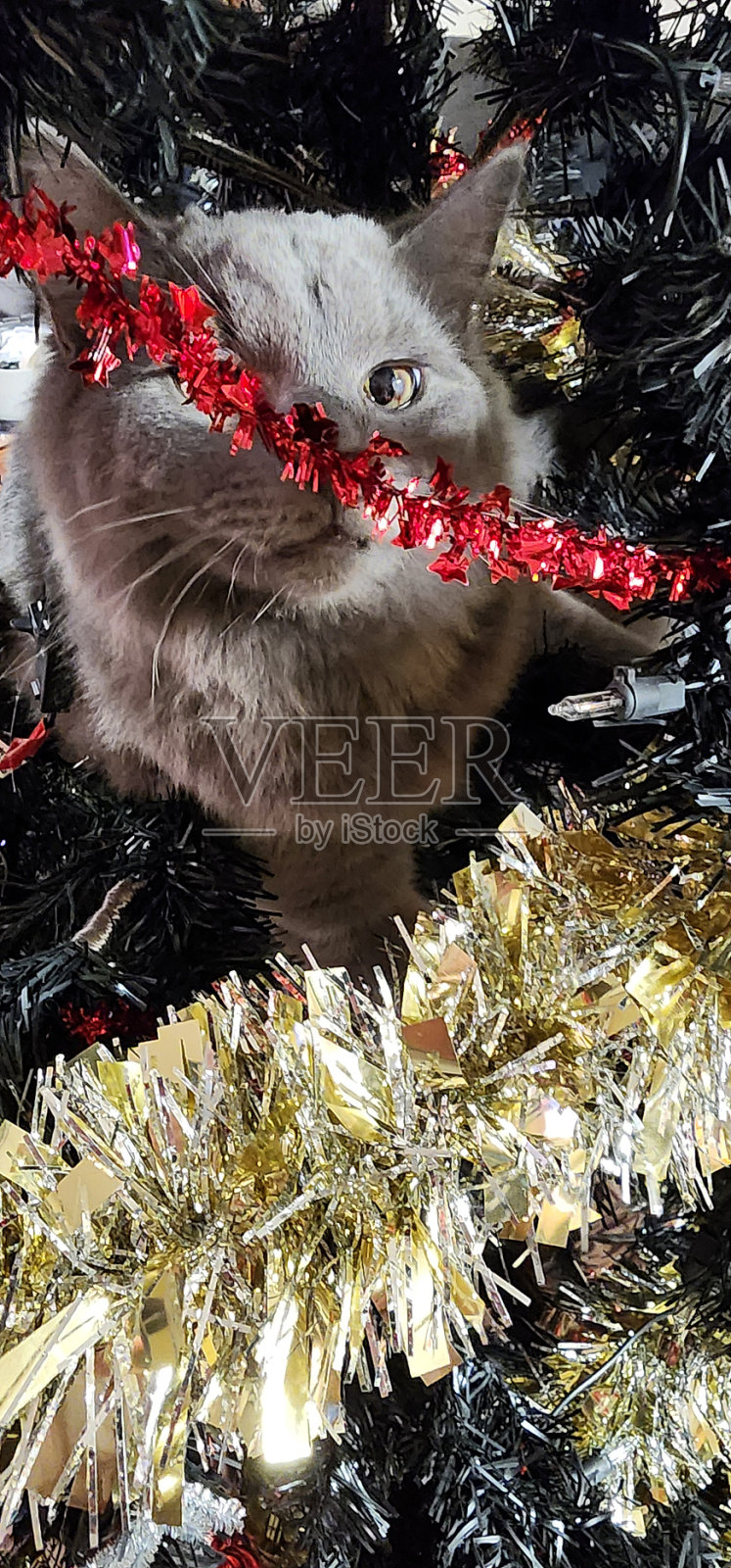 圣诞装饰品照片摄影图片