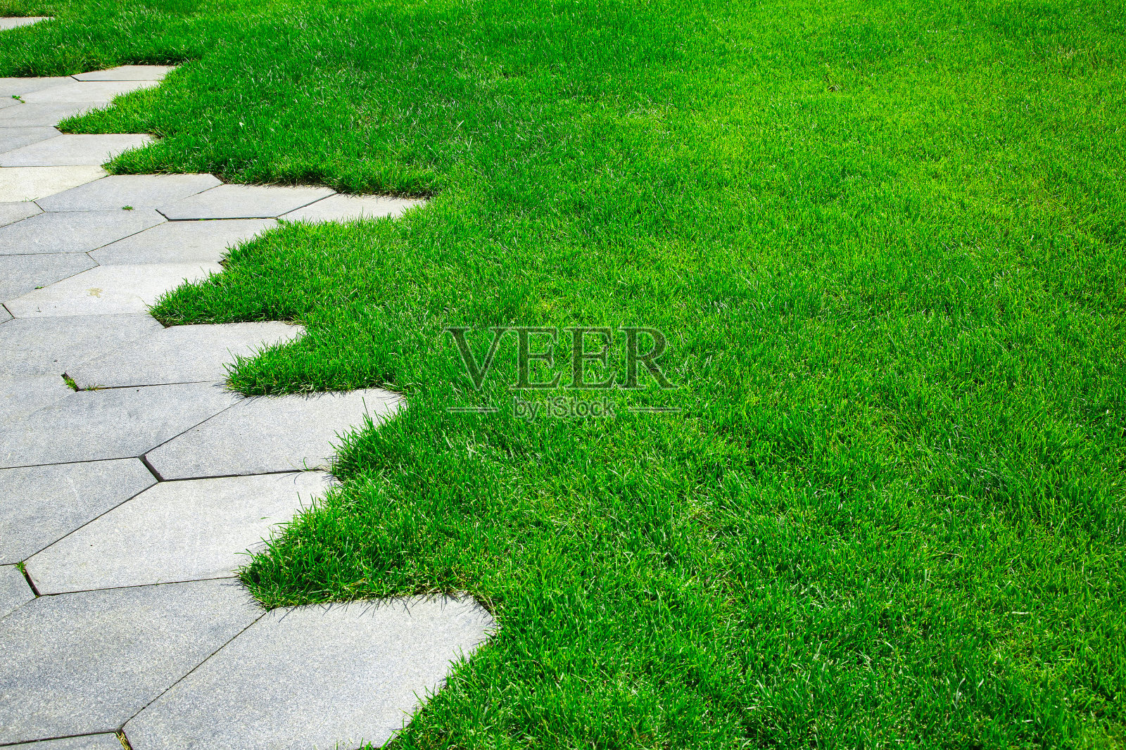 铺装着混凝土瓷砖的蜂窝图案和被阳光照亮的绿色草坪的特写,没有人。照片摄影图片