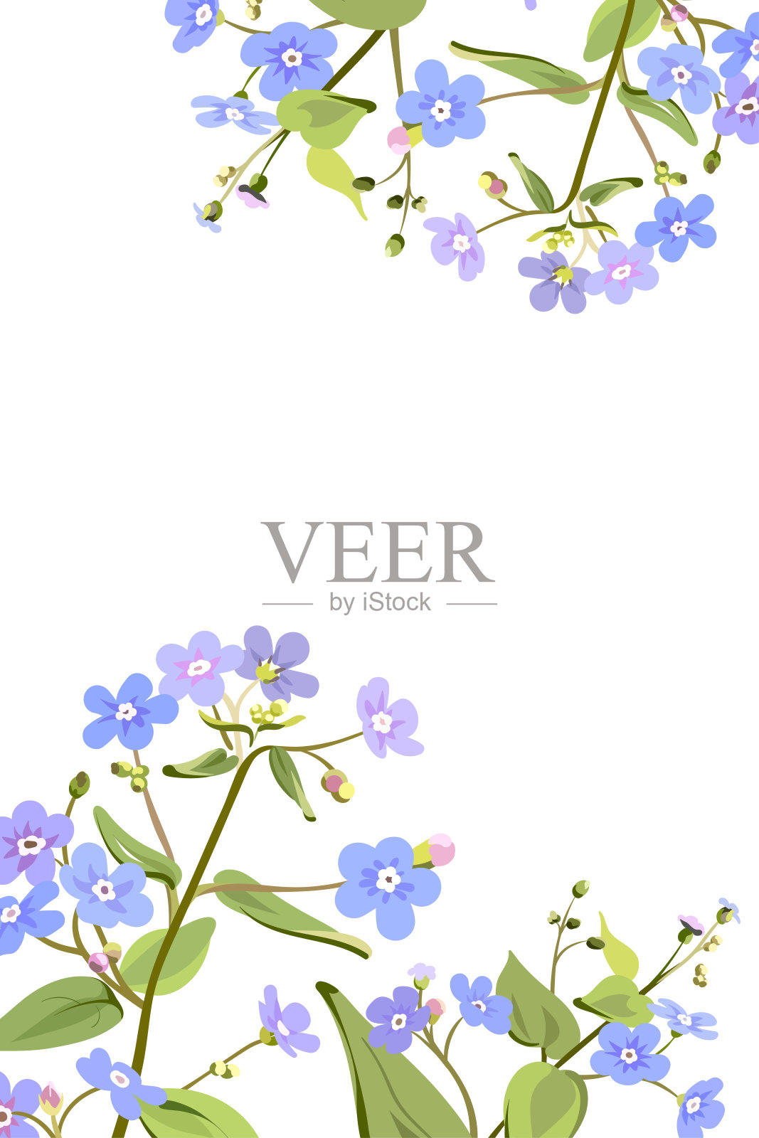 一束美丽的勿忘我花。插画图片素材