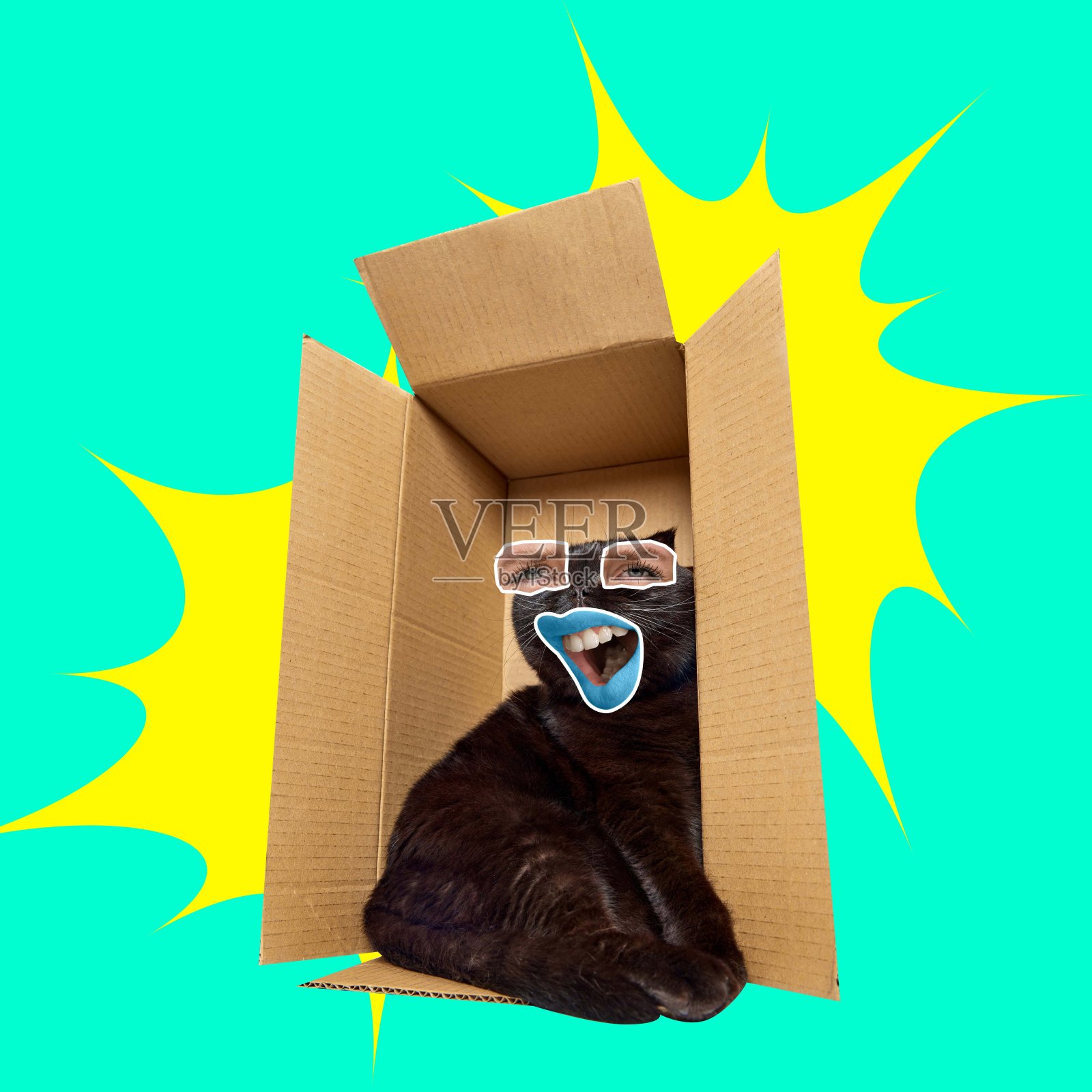 黑猫与人类的眼睛和嘴坐在绿色背景框。当代艺术拼贴。照片摄影图片