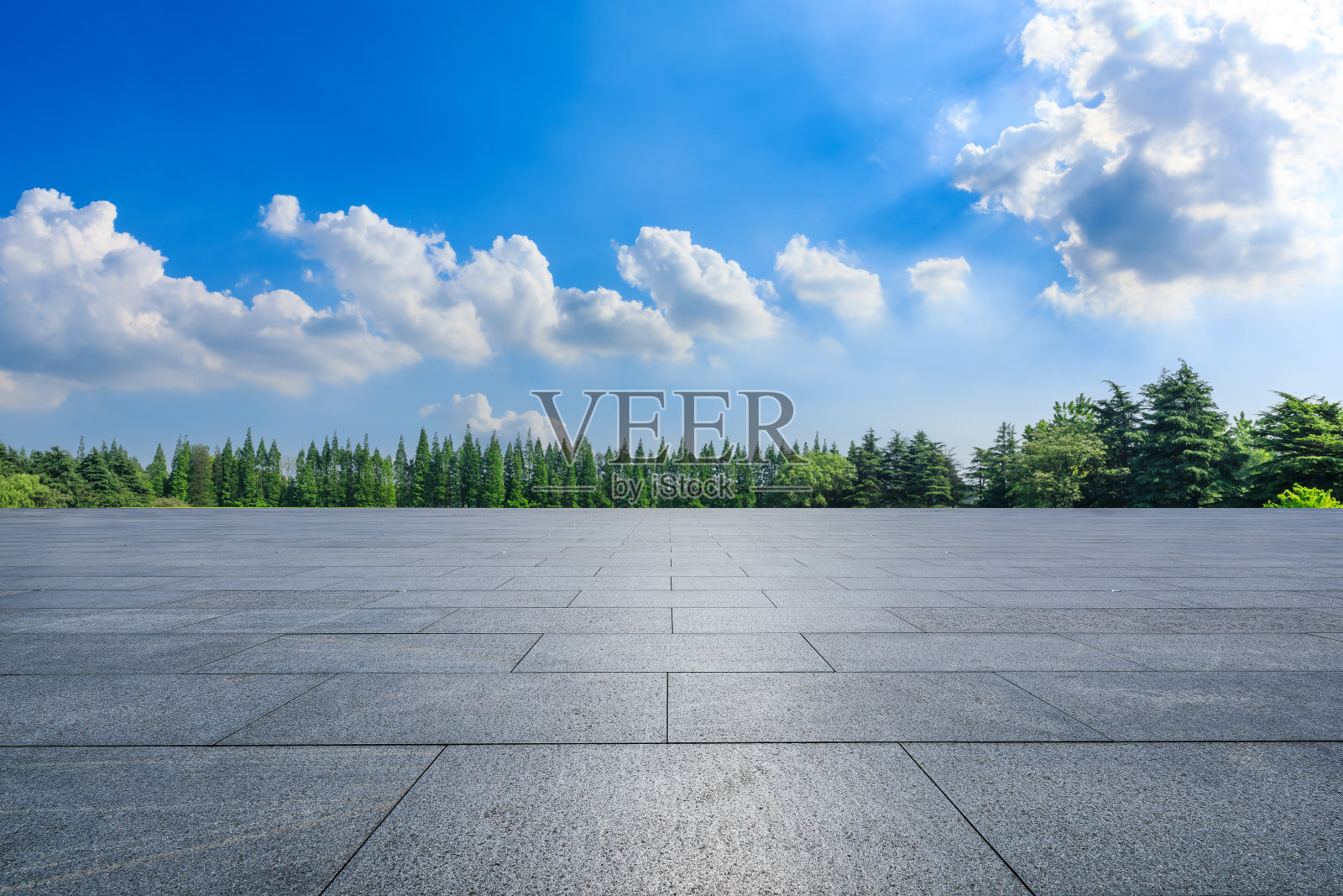 空地板和树与天空云的背景照片摄影图片