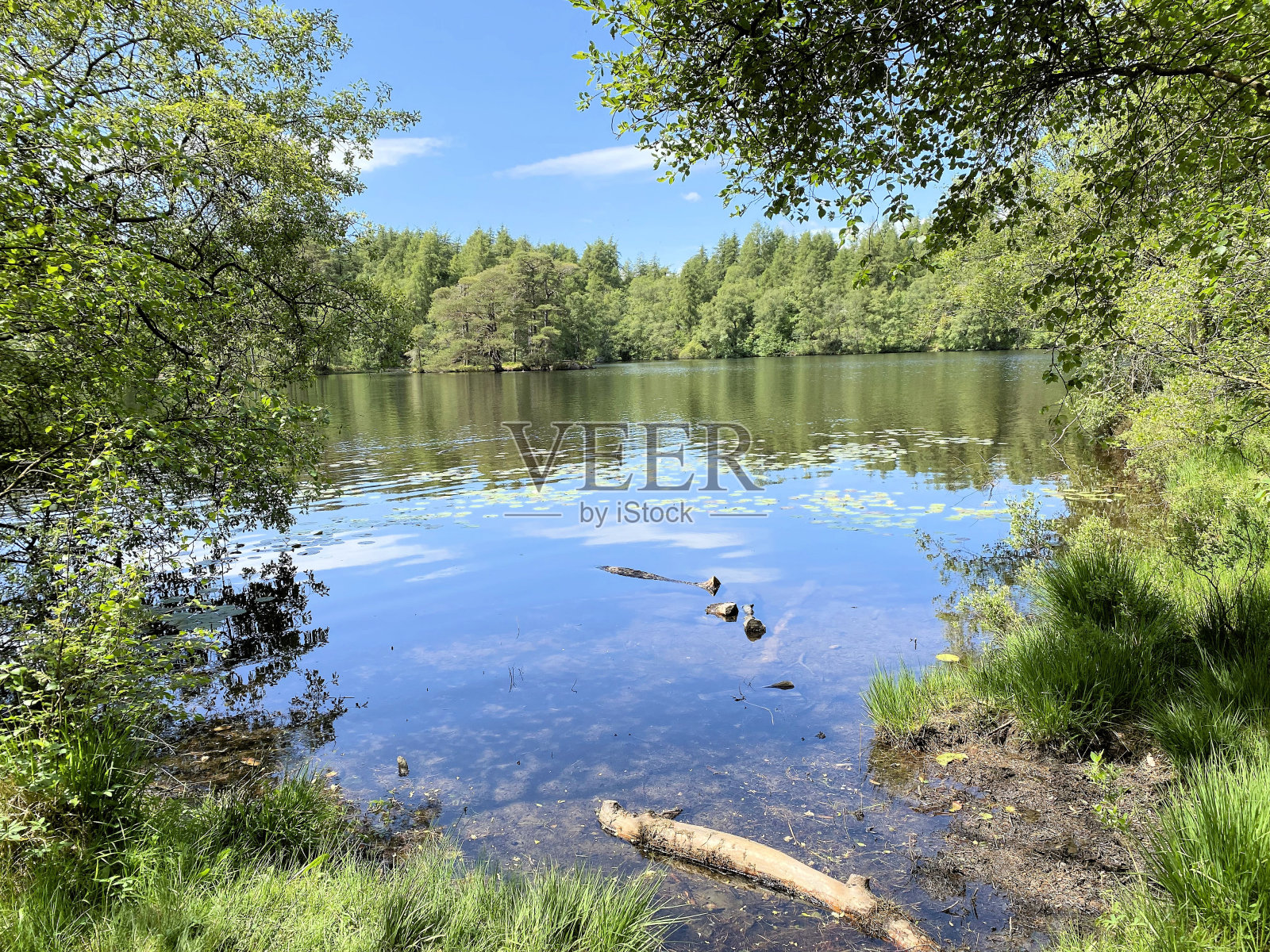 湖区的景色照片摄影图片