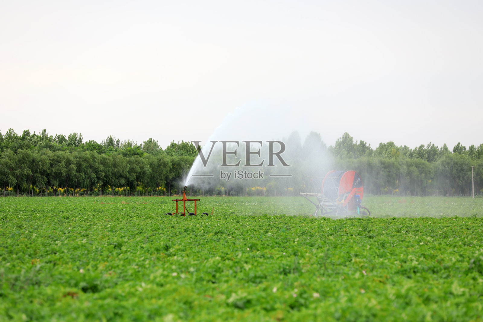 中国北方,灌溉马铃薯的喷灌设施照片摄影图片