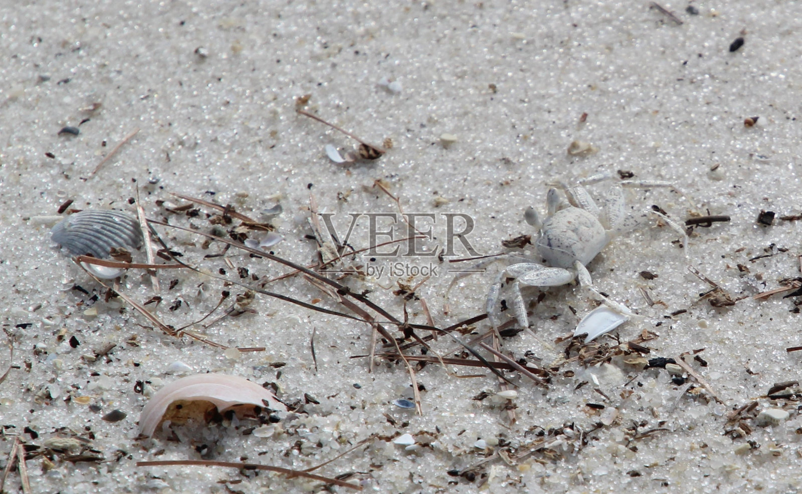 划船的一天照片摄影图片