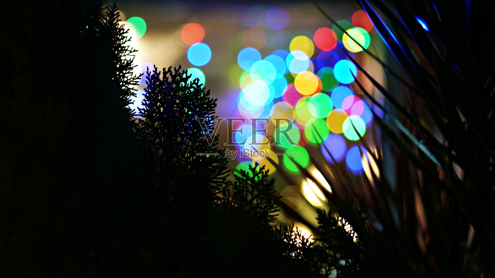 迷离的电灯装饰派对。照片摄影图片