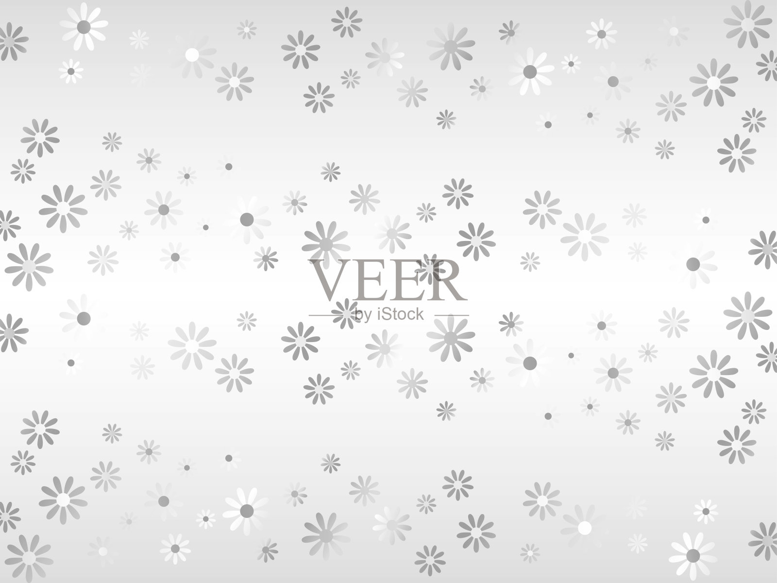 B花,白色2插画图片素材