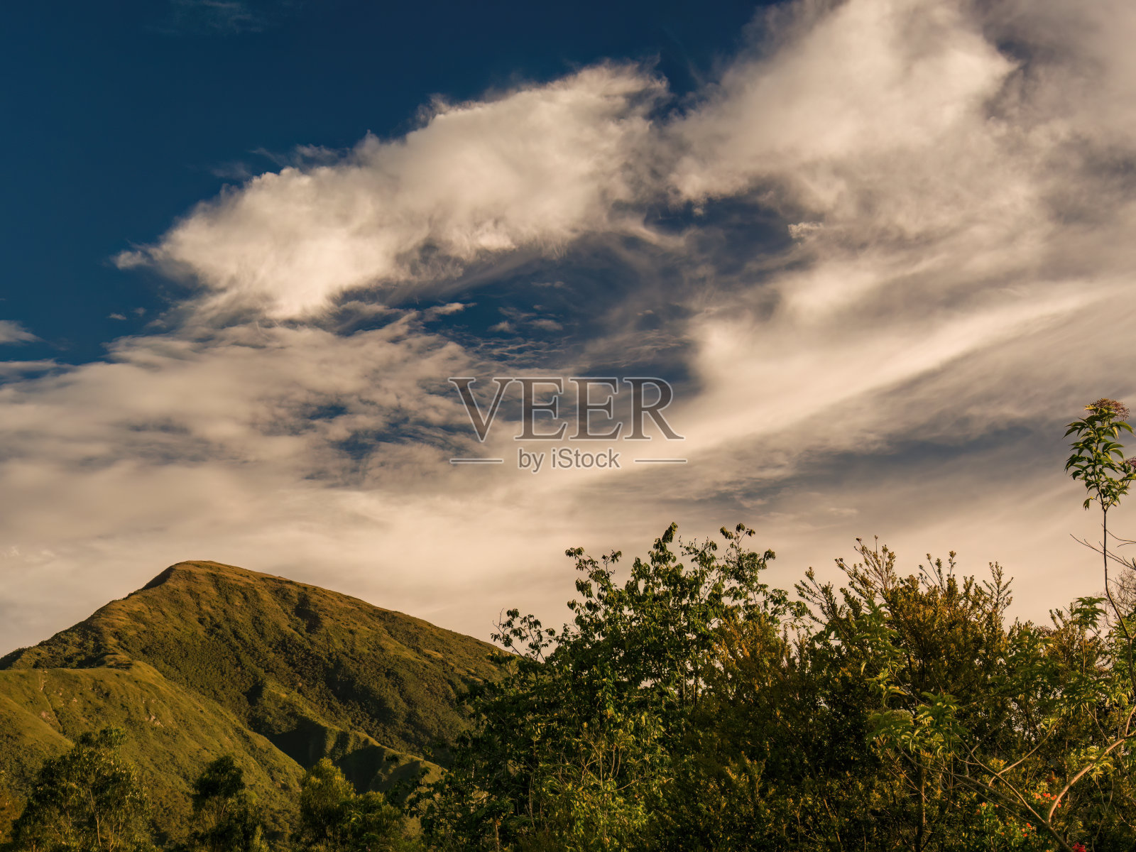 伊瓜克动植物保护区的一部分照片摄影图片