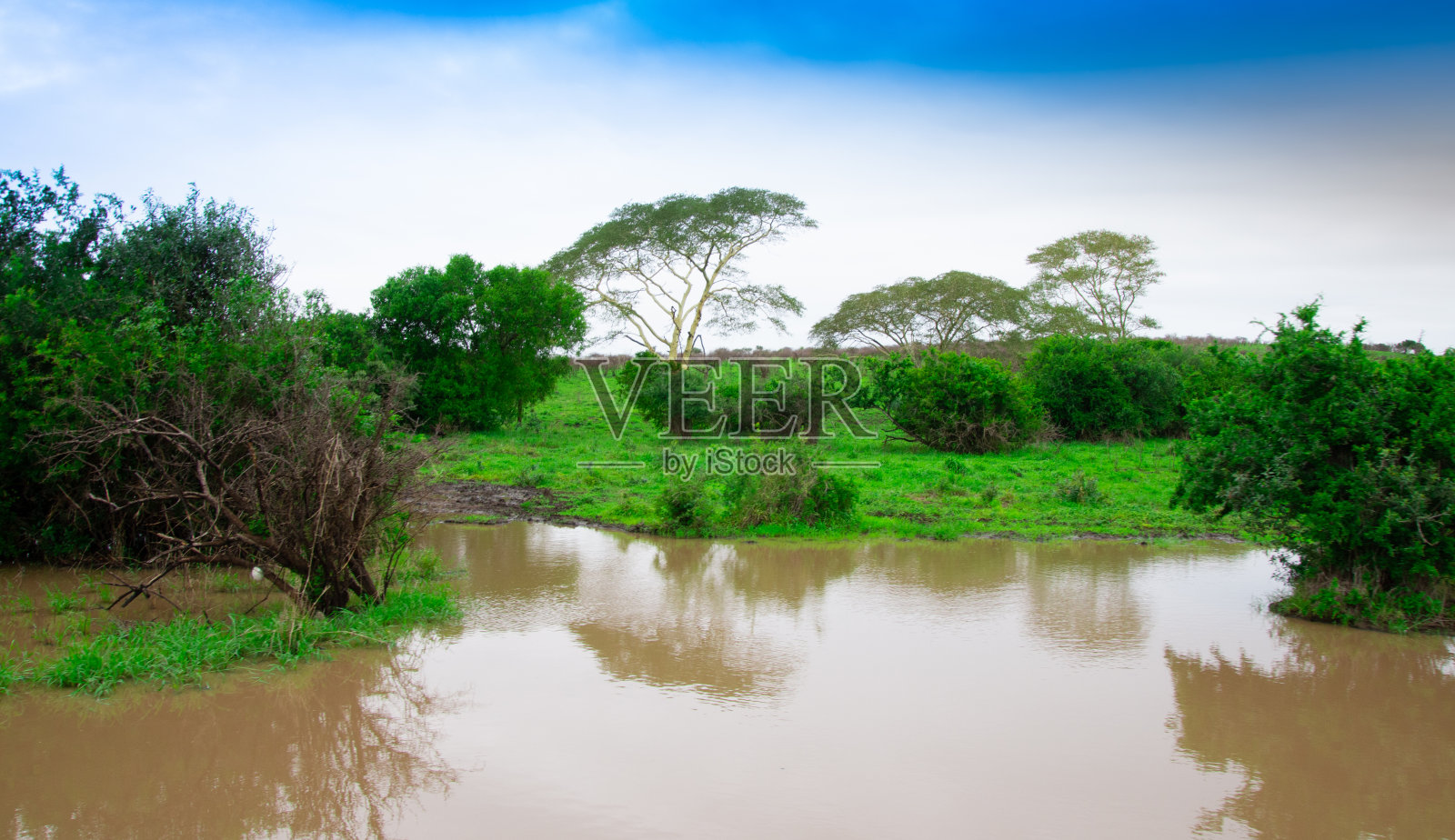 美丽的小湖迷失在大草原的中心照片摄影图片