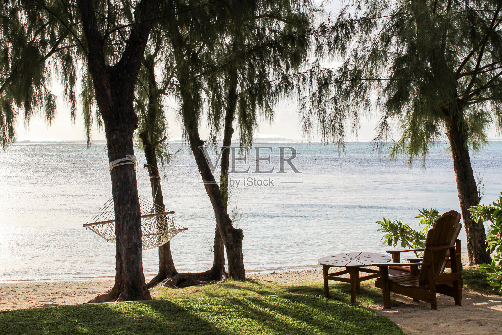 一张吊床挂在热带树上俯瞰印度洋的宁静景象。照片摄影图片