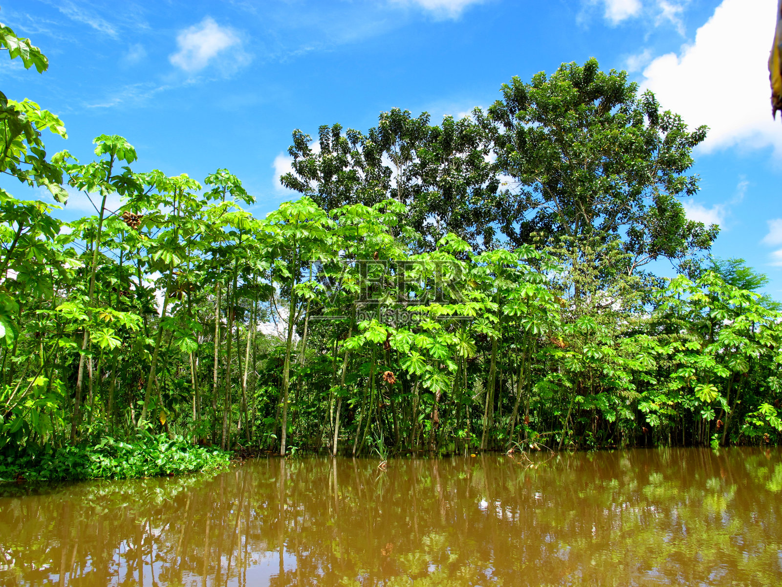 南美洲秘鲁的亚马逊河照片摄影图片