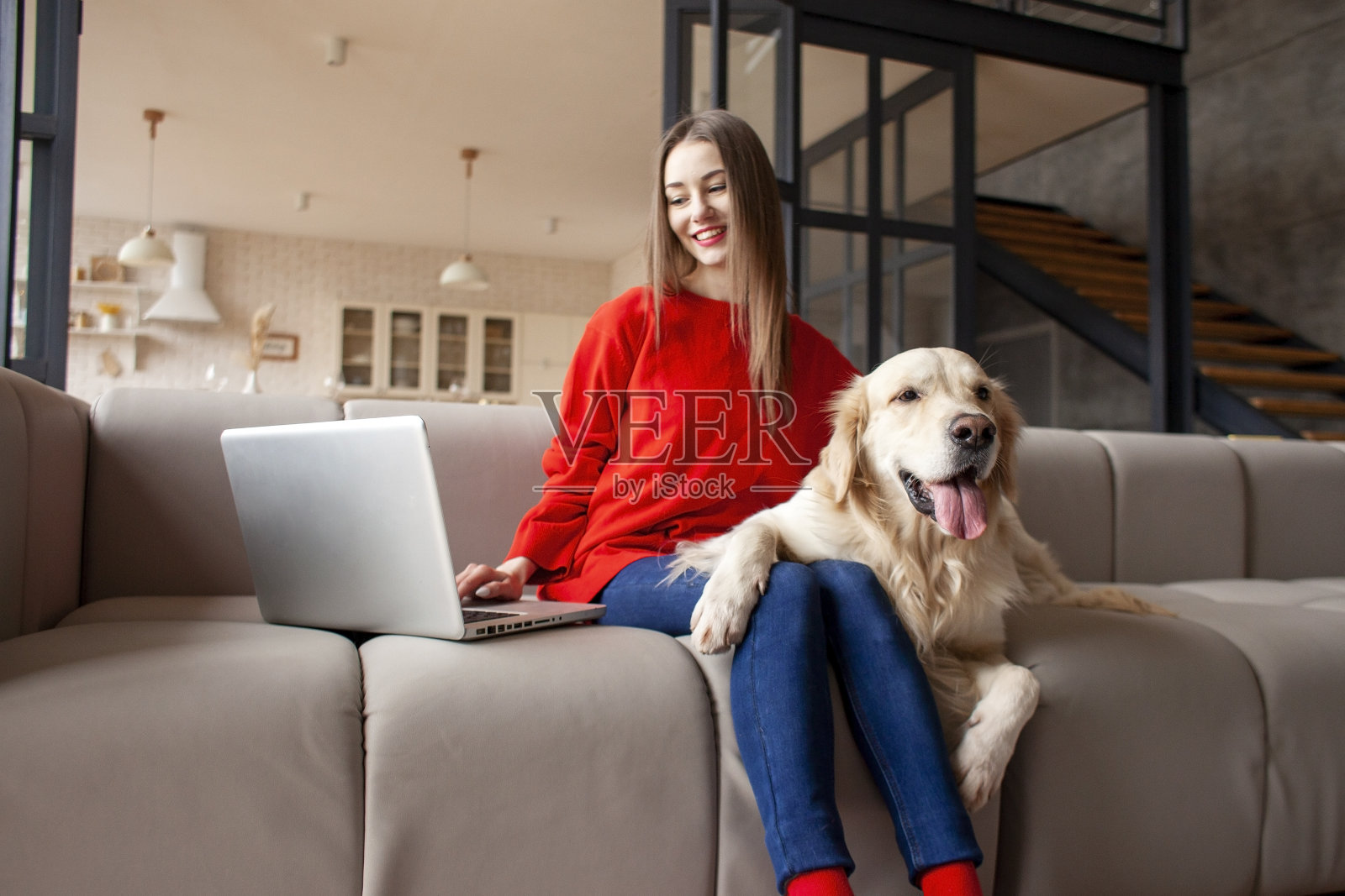 女孩和狗坐在沙发上使用笔记本电脑,带着金毛猎犬的女人看着电脑微笑照片摄影图片