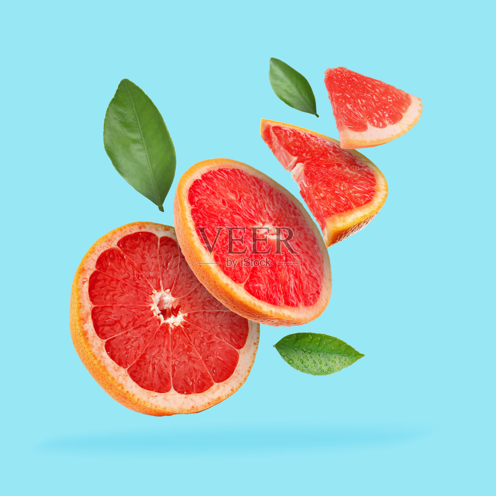 柚子和绿叶落在浅蓝色的背景上照片摄影图片